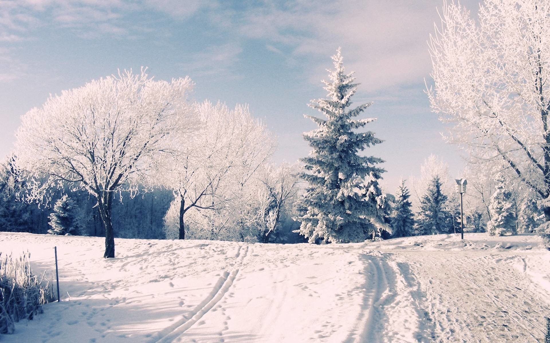 Download 21 winter-wonderland-iphone-wallpaper Winter-iPhone-Wallpapers-28-Cute-Winter-iPhone-Backgrounds-.jpg