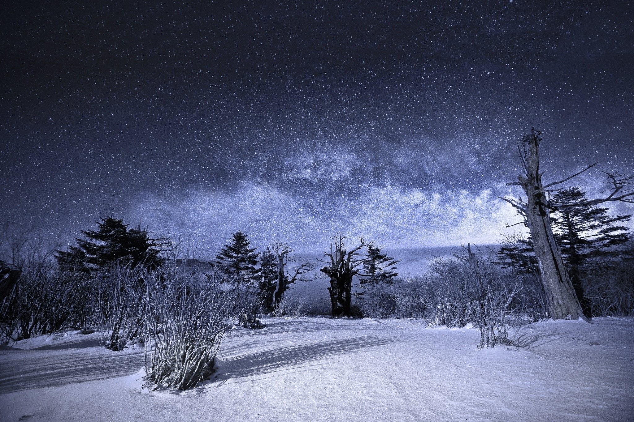 Winter Night Sky Wallpaper (64+ Images)
