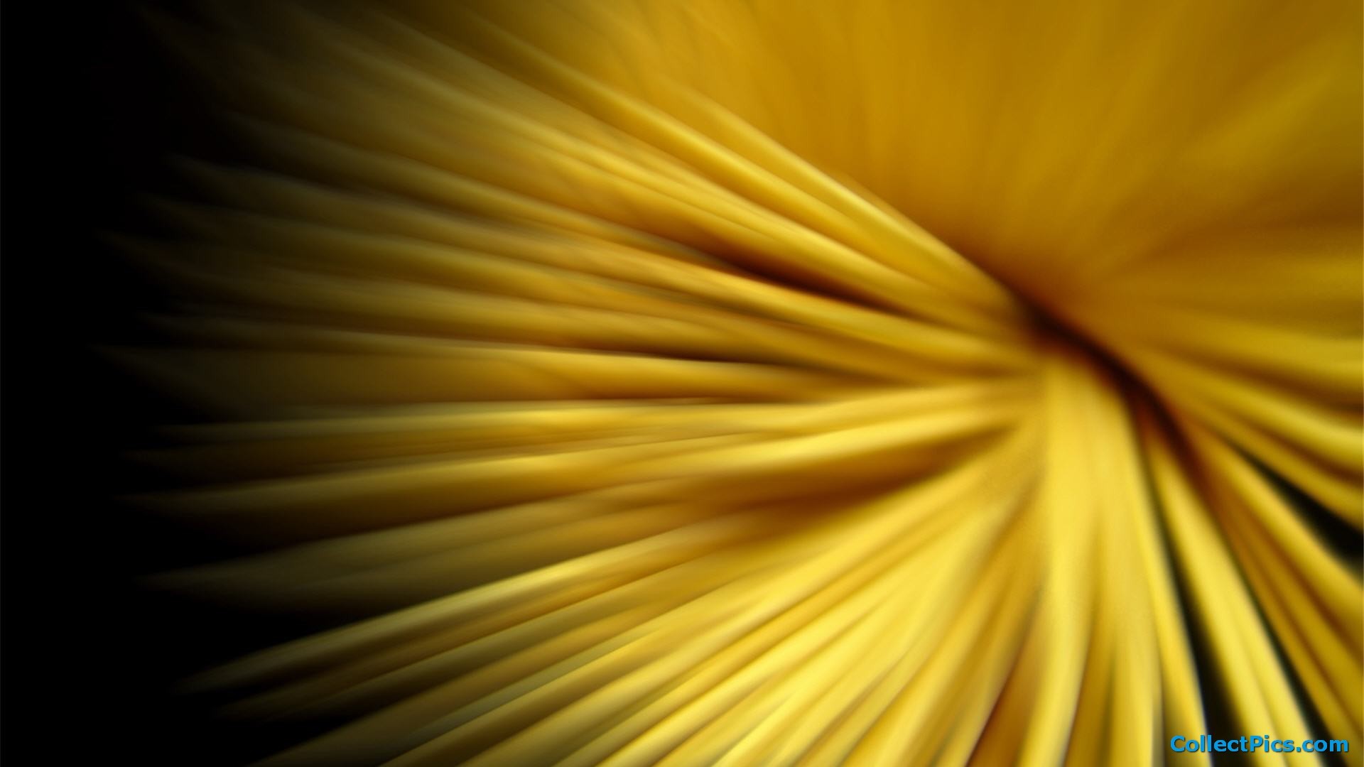 Black and Yellow HD Wallpaper (65+ images)
