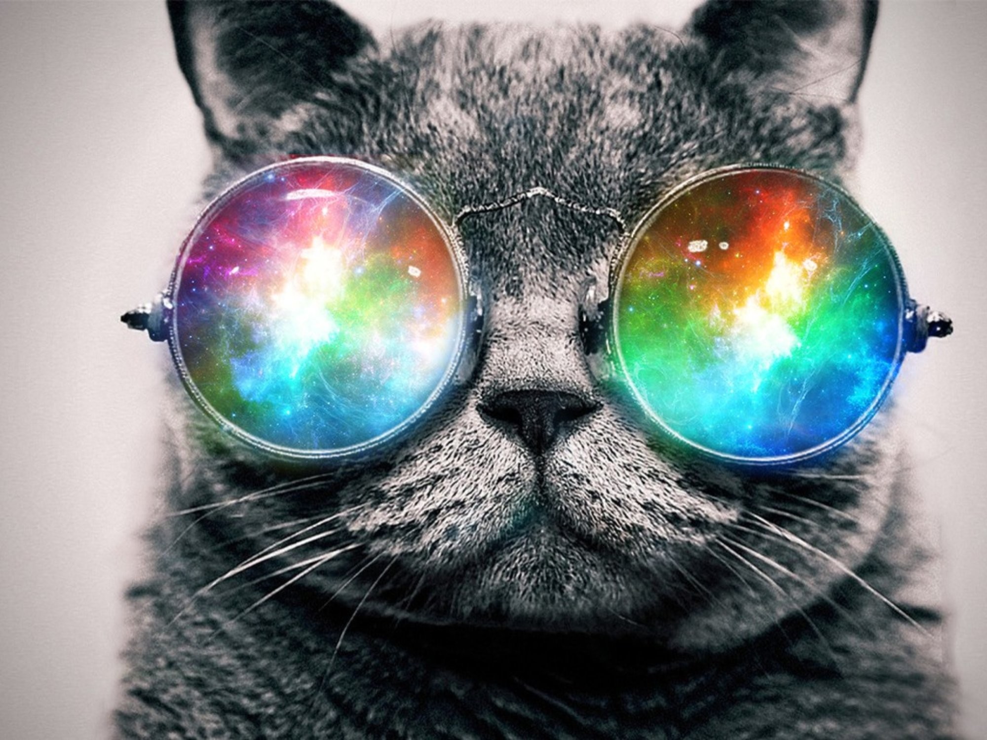 Trippy Cat Wallpaper 64 Images