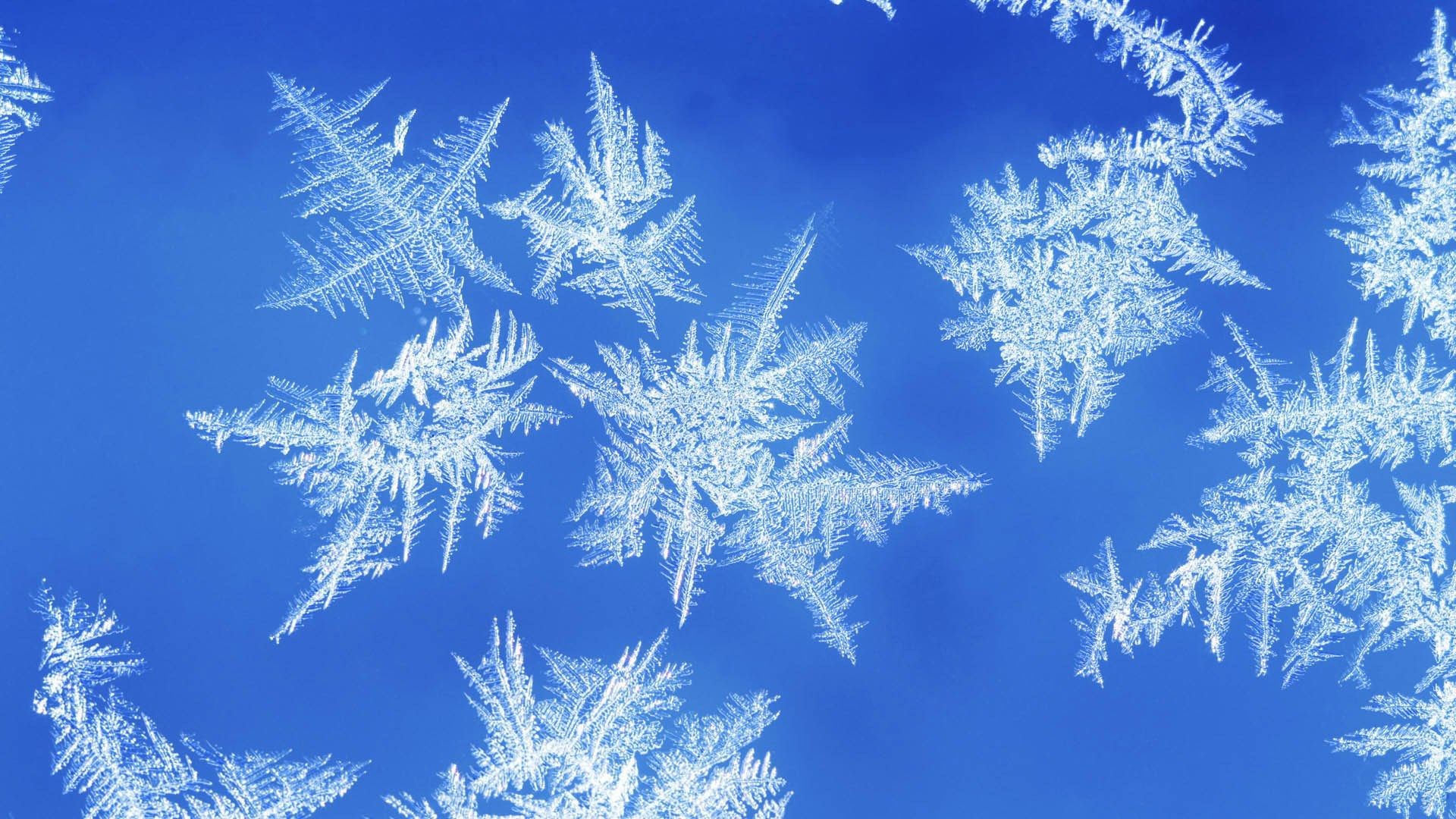 Snowflake Wallpaper Images 72 Images 