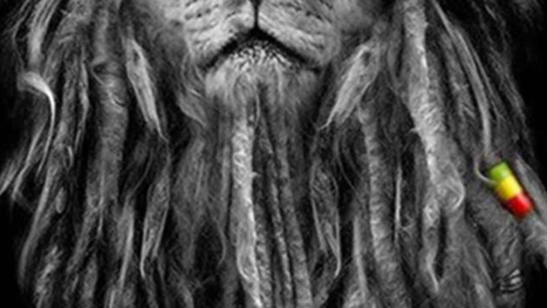 Rasta Lion Wallpaper 58 Images