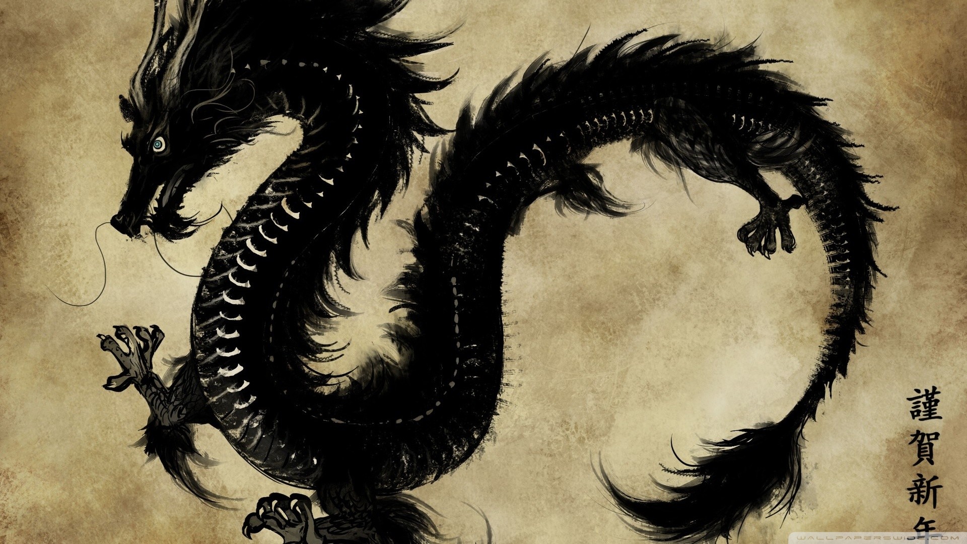black and white dragon wallpaper (67+ images) on dragon black and white wallpapers