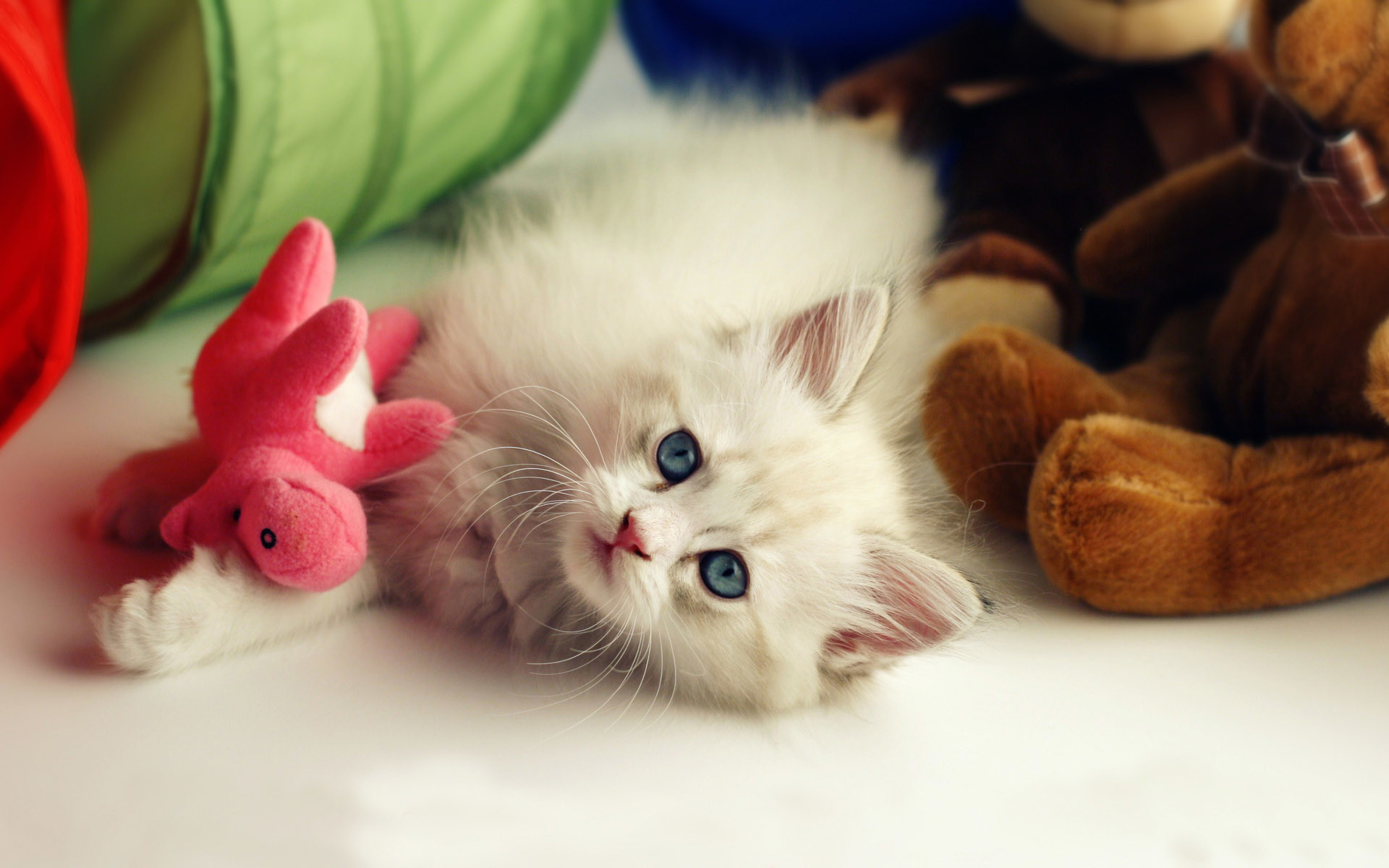 Cutest Wallpapers Ever (56+ images)