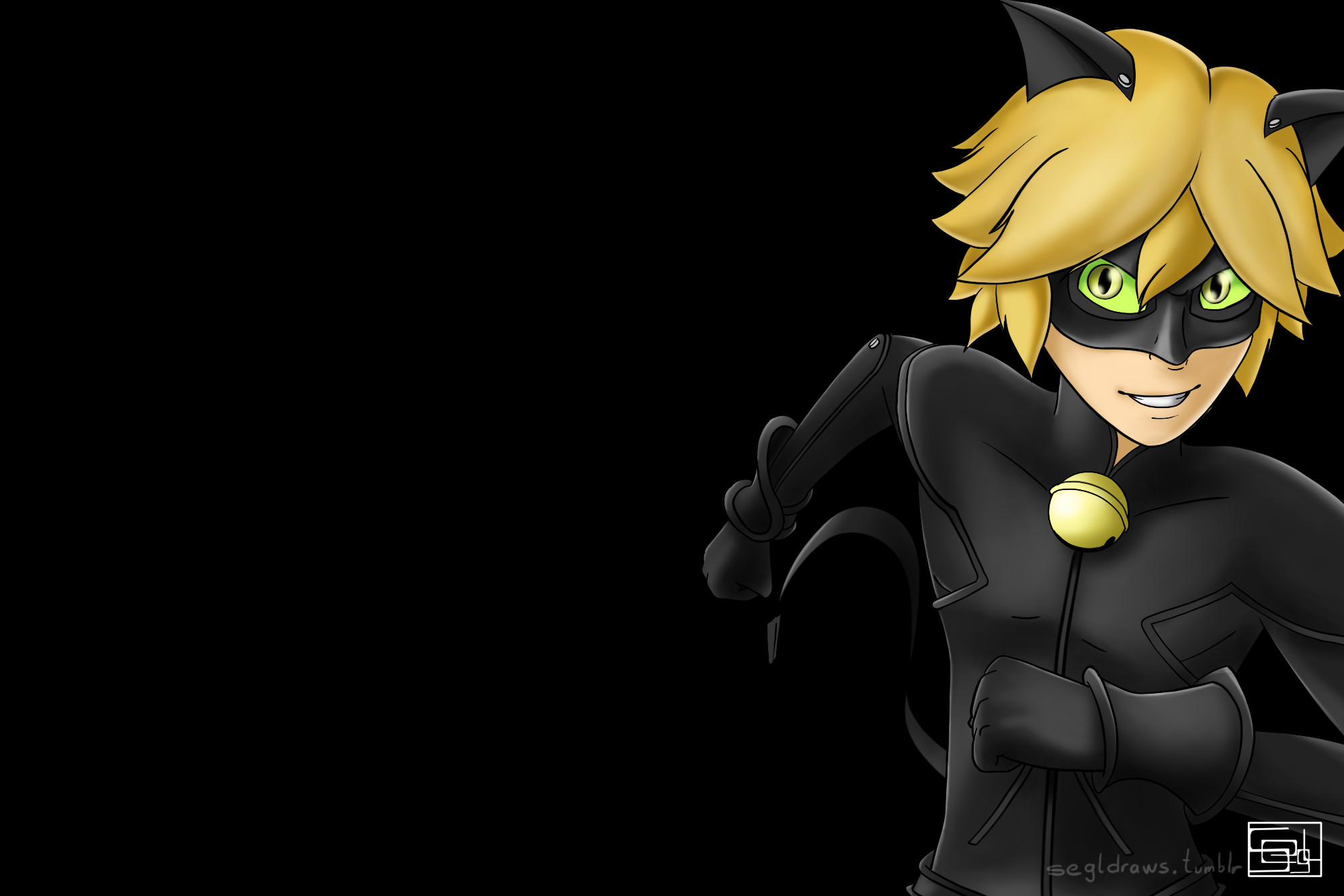 chat noir wallpapers (69+ images) on chat noir wallpapers
