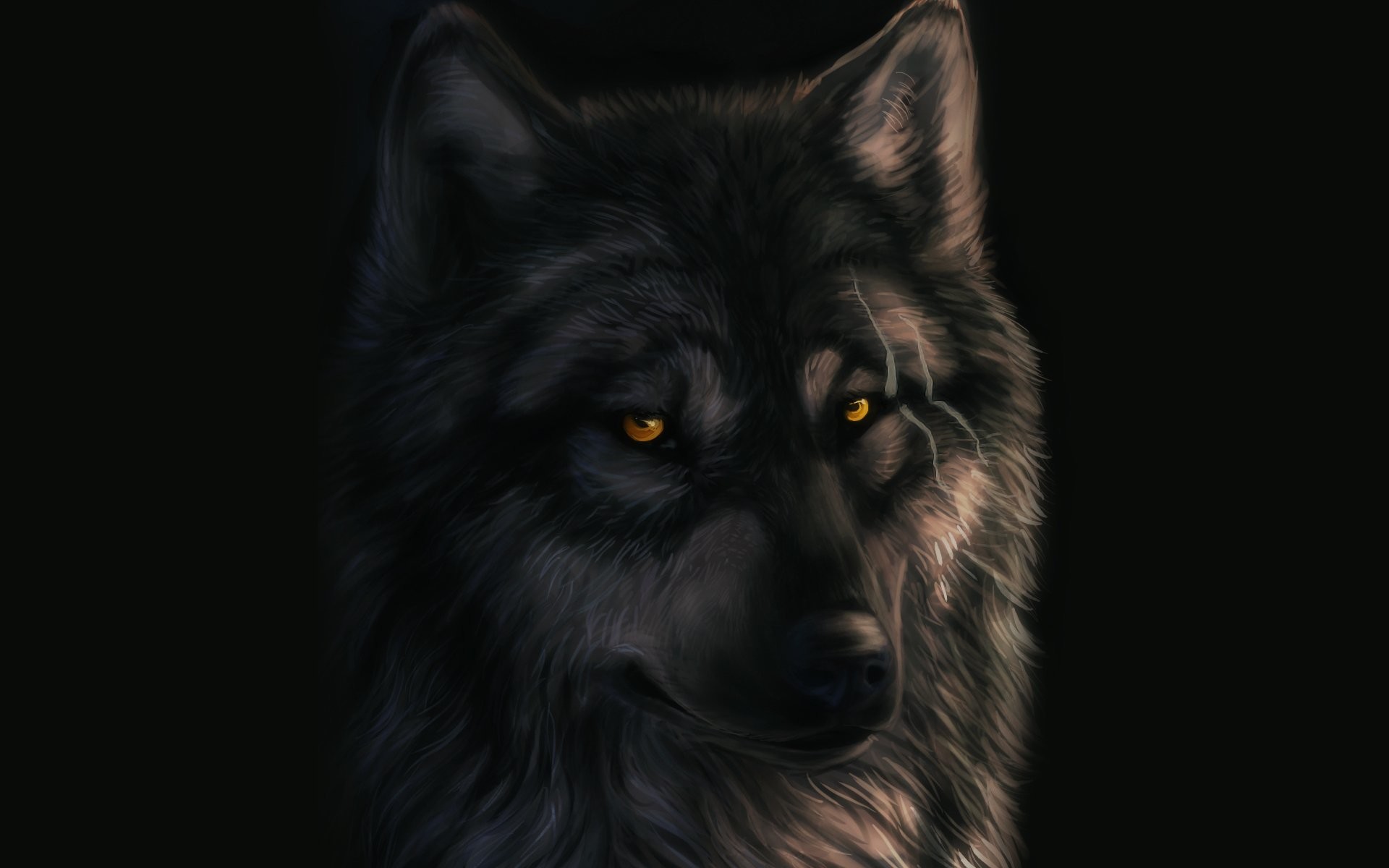 Dark Wolf Wallpaper (63+ images)