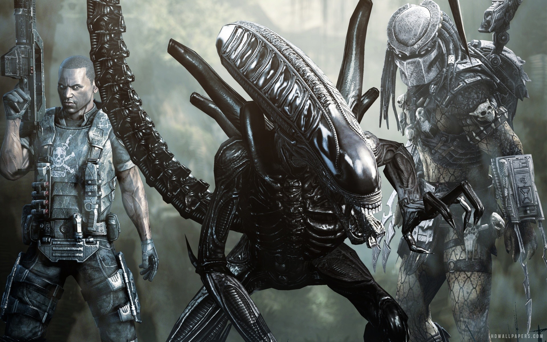 Aliens vs Predator Wallpaper (75+ images)