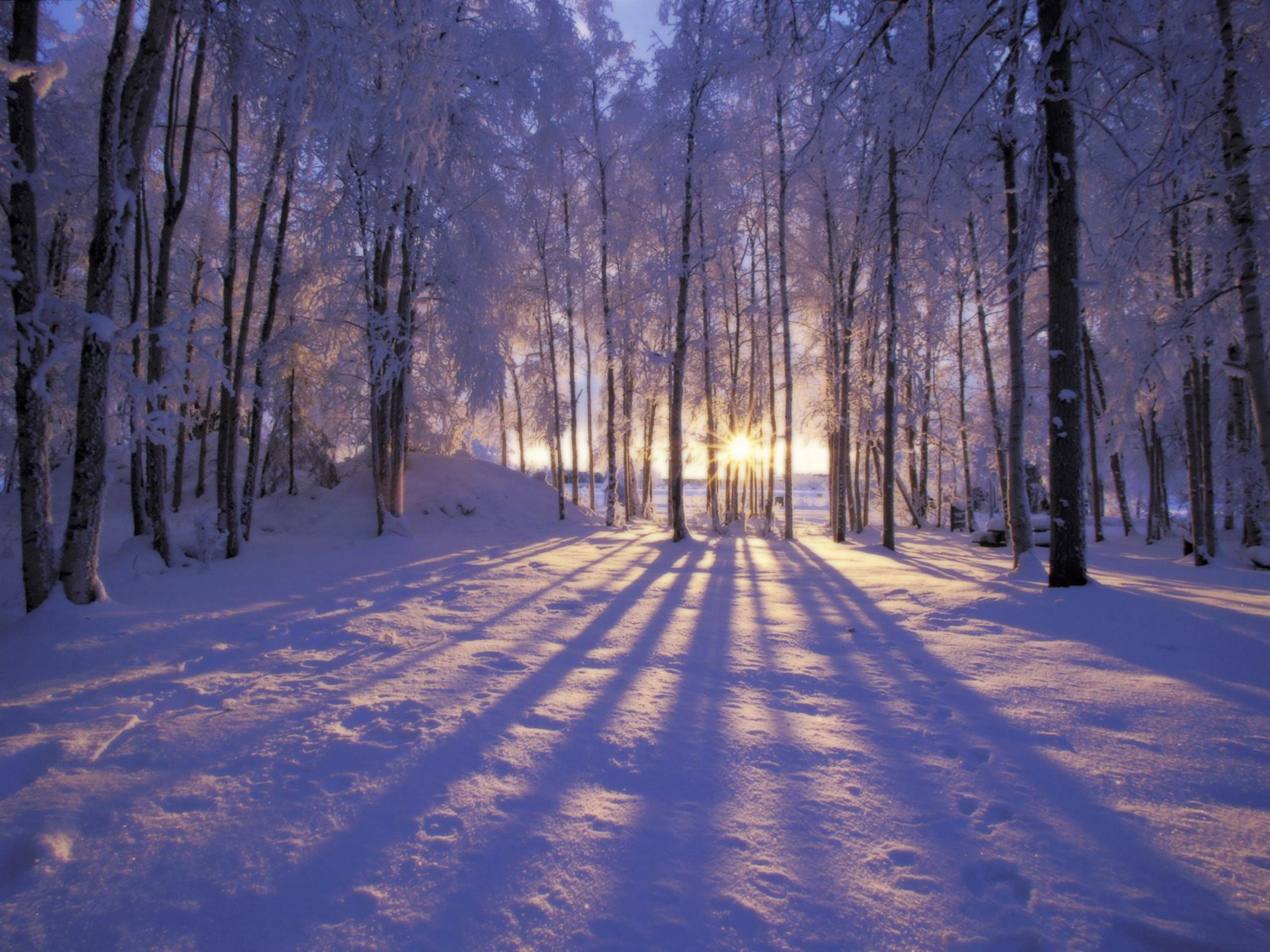 Winter Scenes Wallpaper (55+ images)