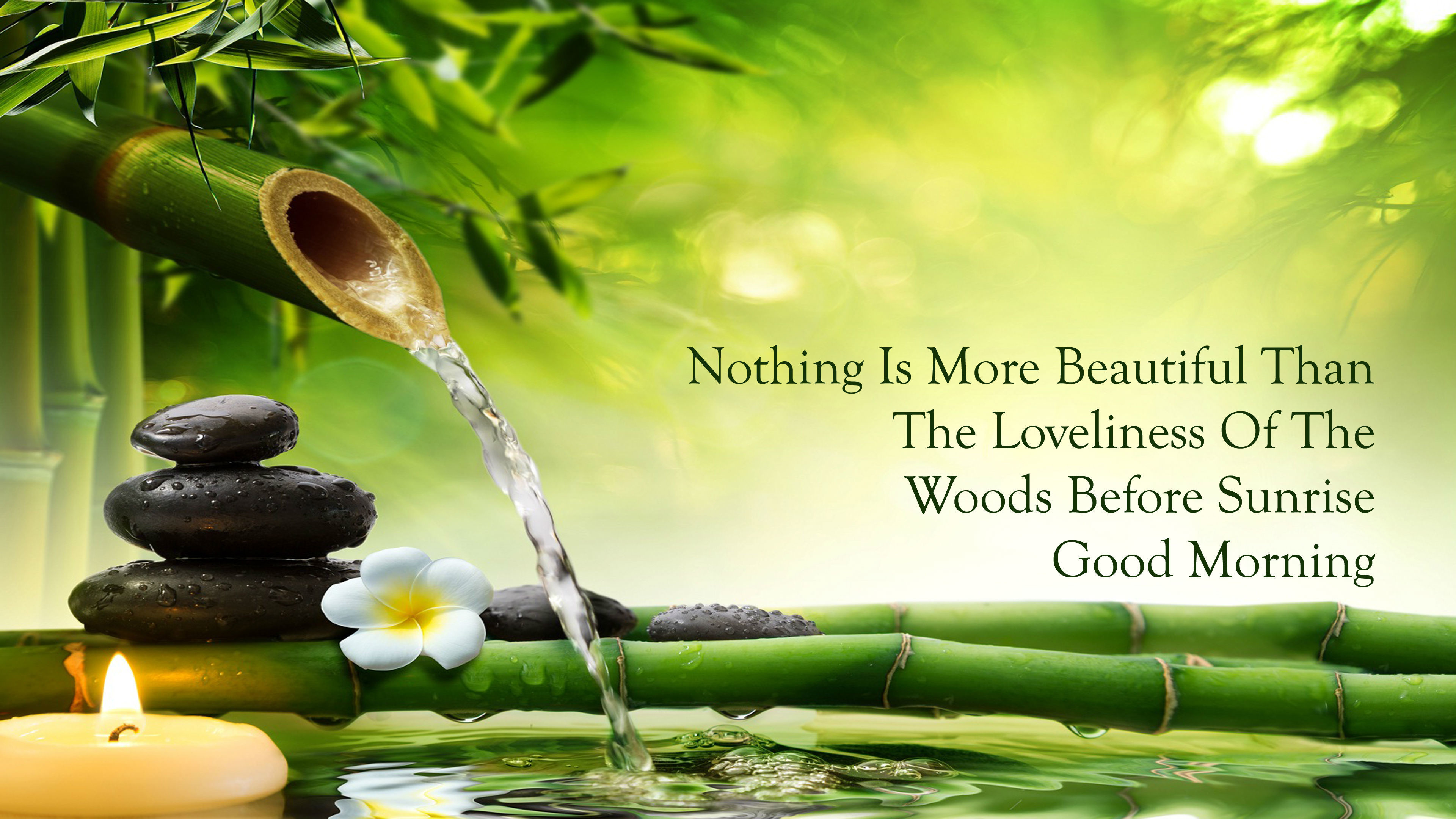 Nature Wallpaper With Quotes (61+ Images)