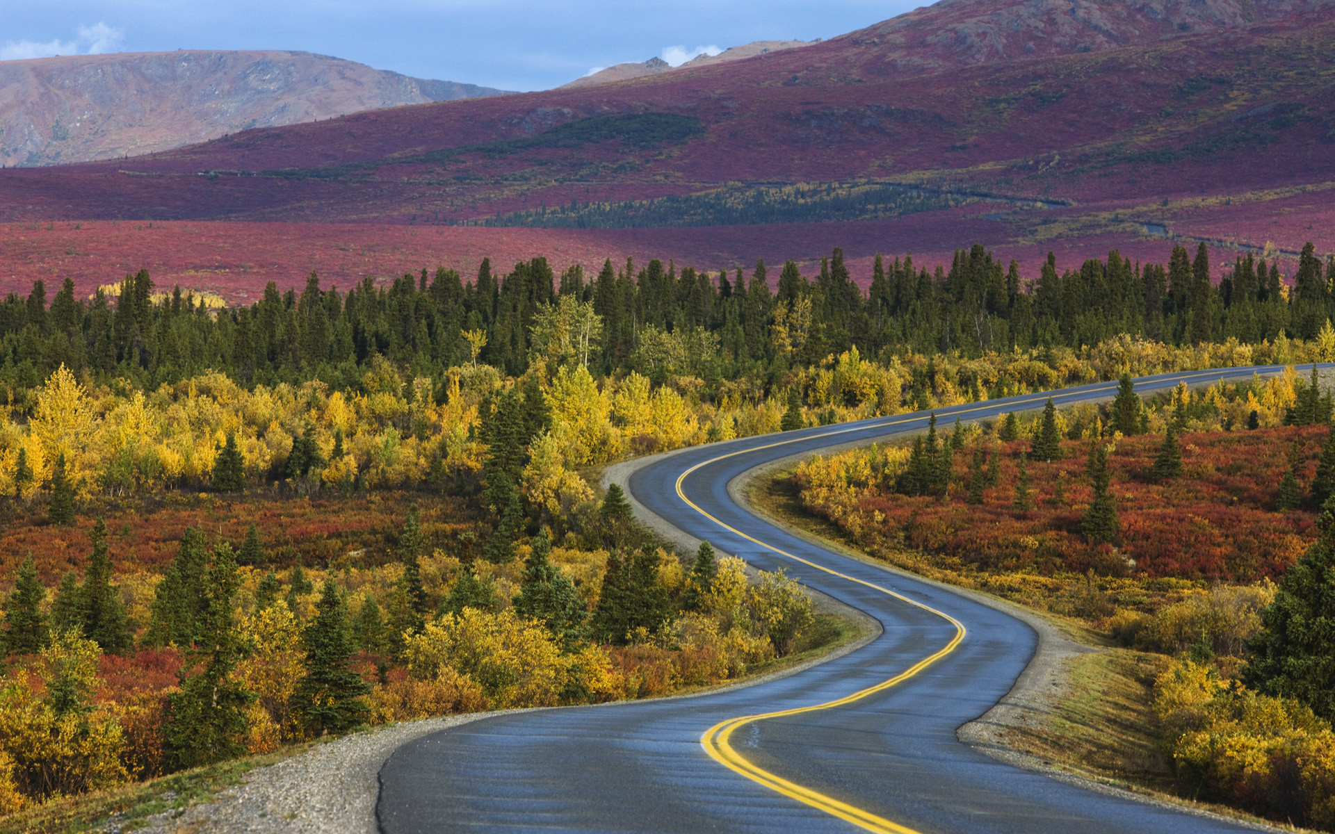 This Is the Perfect US Road Trip According to Scientists 