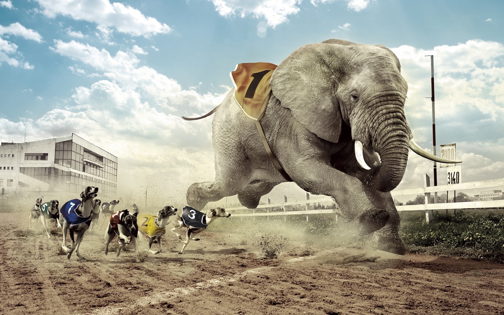 Elephant Desktop Wallpaper (77+ images)