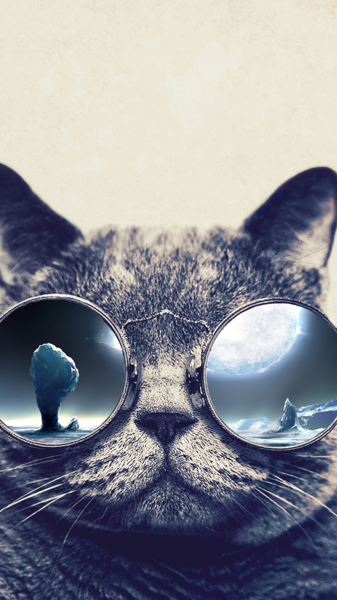 Cool Cat Wallpapers (71+ images)