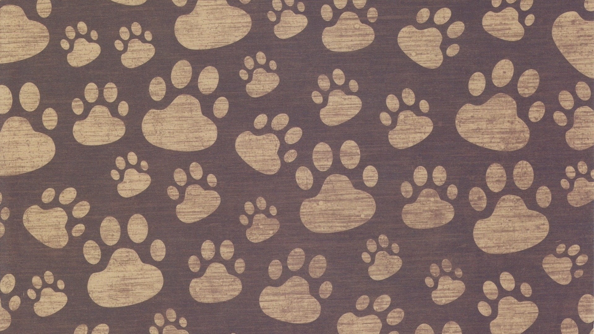 Dog Paws Wallpaper (41+ images)