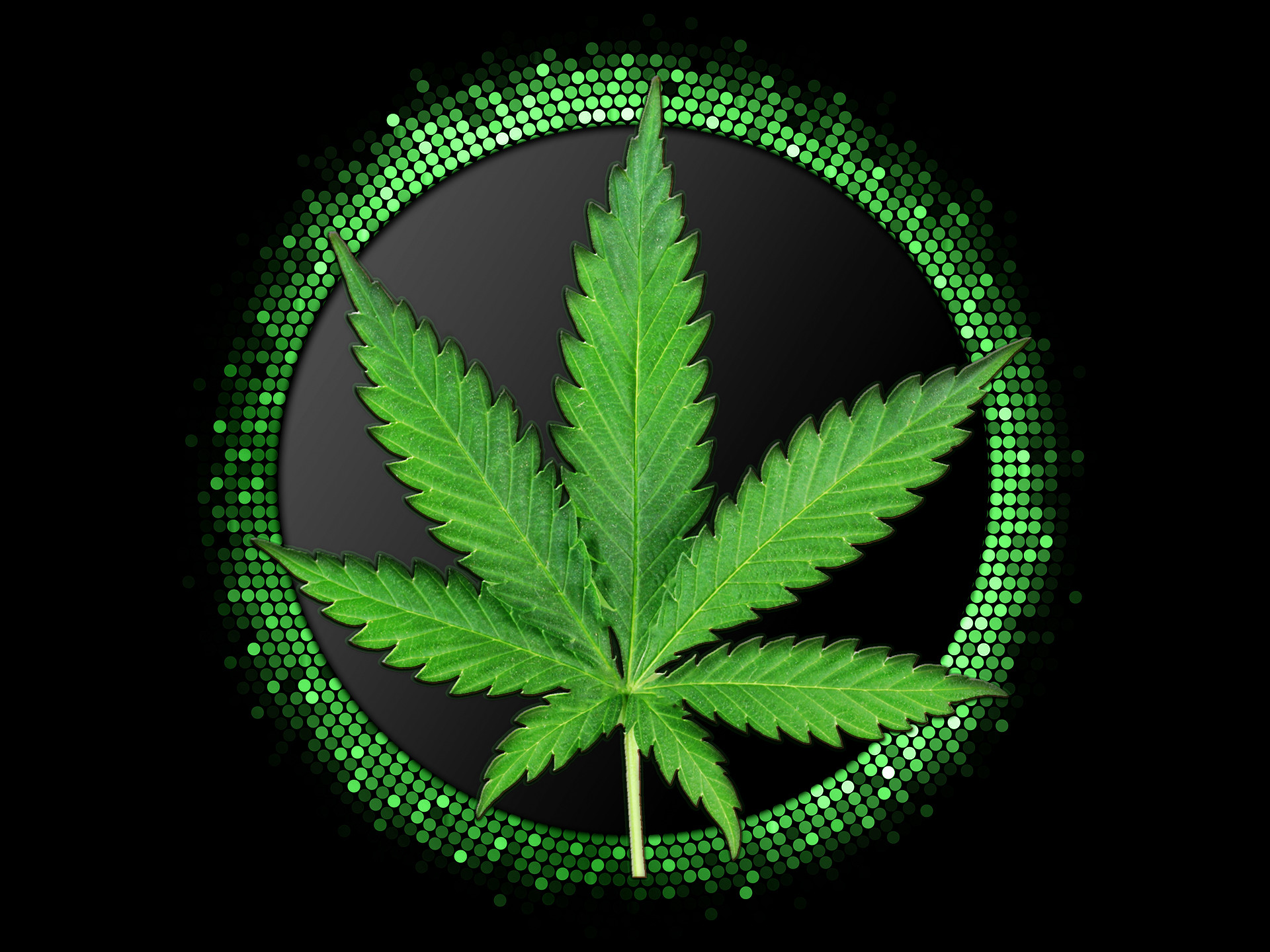 Trippy Pot Leaf Wallpapers 55 Images