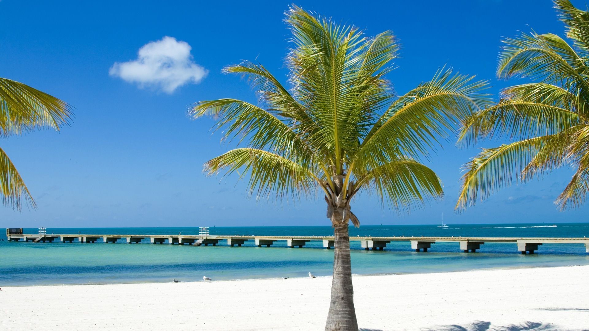 Florida Keys HD Wallpaper 55 Images 