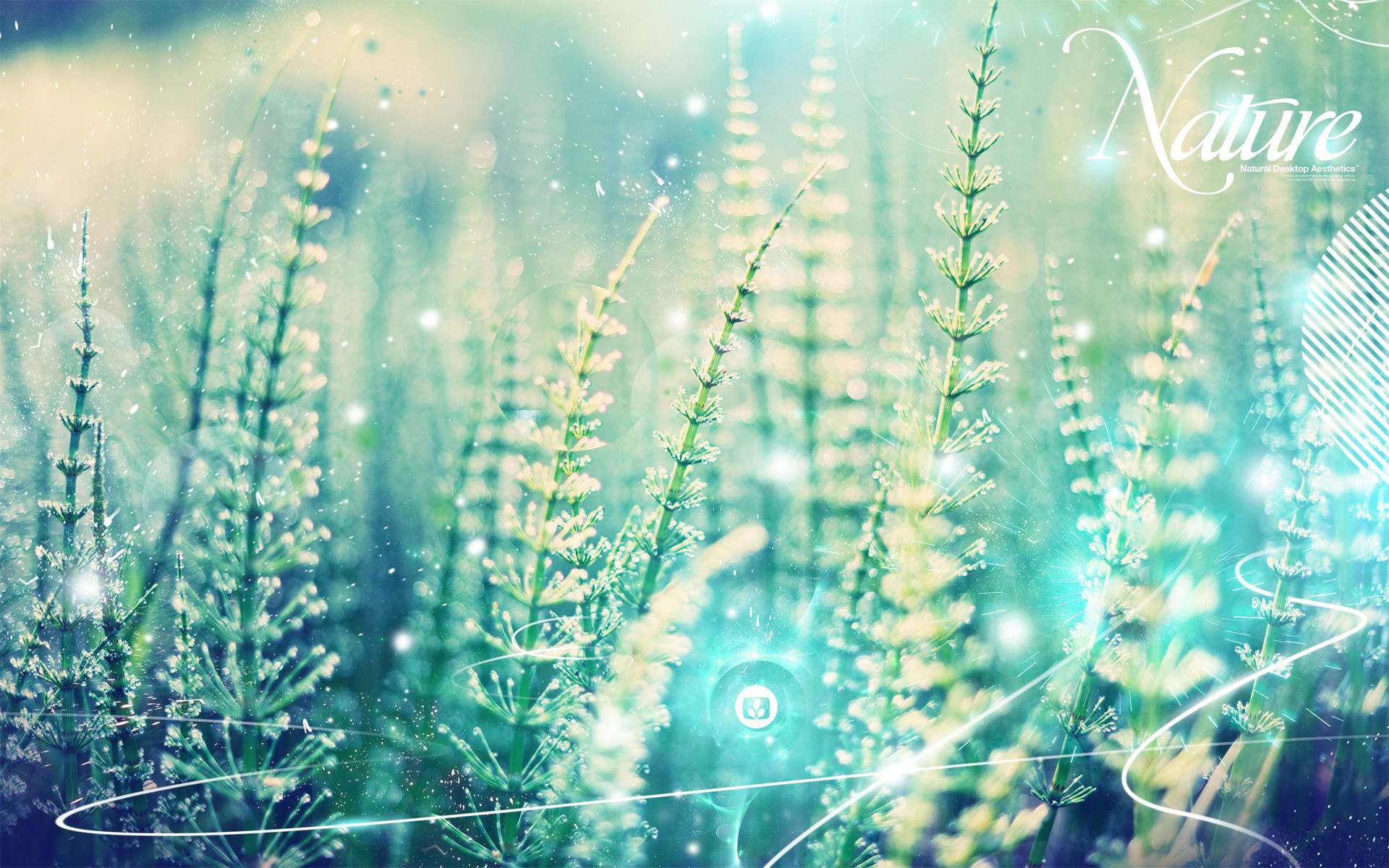 Download and use 30,000+ desktop wallpaper aesthetic stock photos for free. Aesthetic Wallpaper Computer - Aesthetic Wallpapers (78+ images)