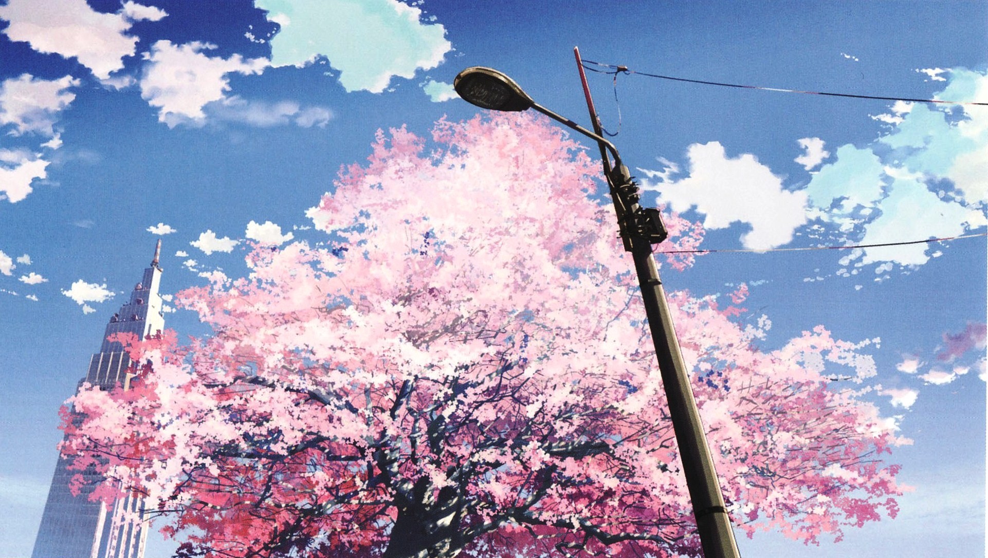 Japanese Cherry Blossom Wallpaper (71+ images)