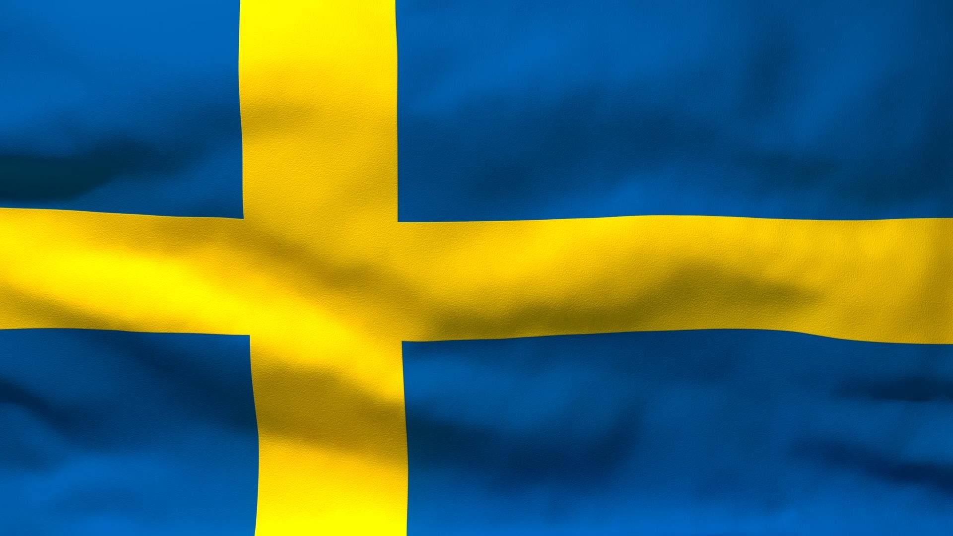 Swedish svensk tjej pullar