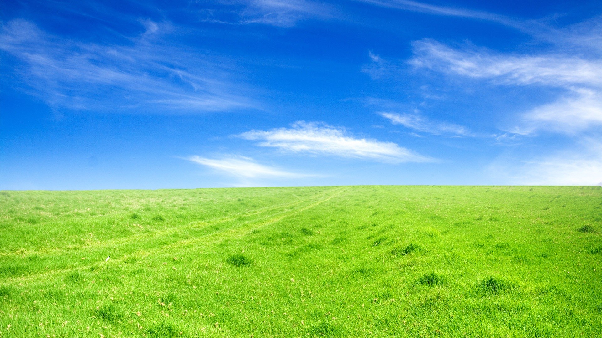 Grass and Sky Wallpaper (71+ images)