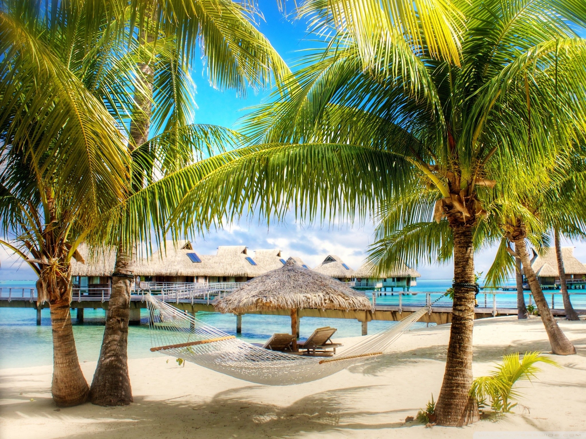 Tropical Beach Screensavers and Wallpaper (67+ images)