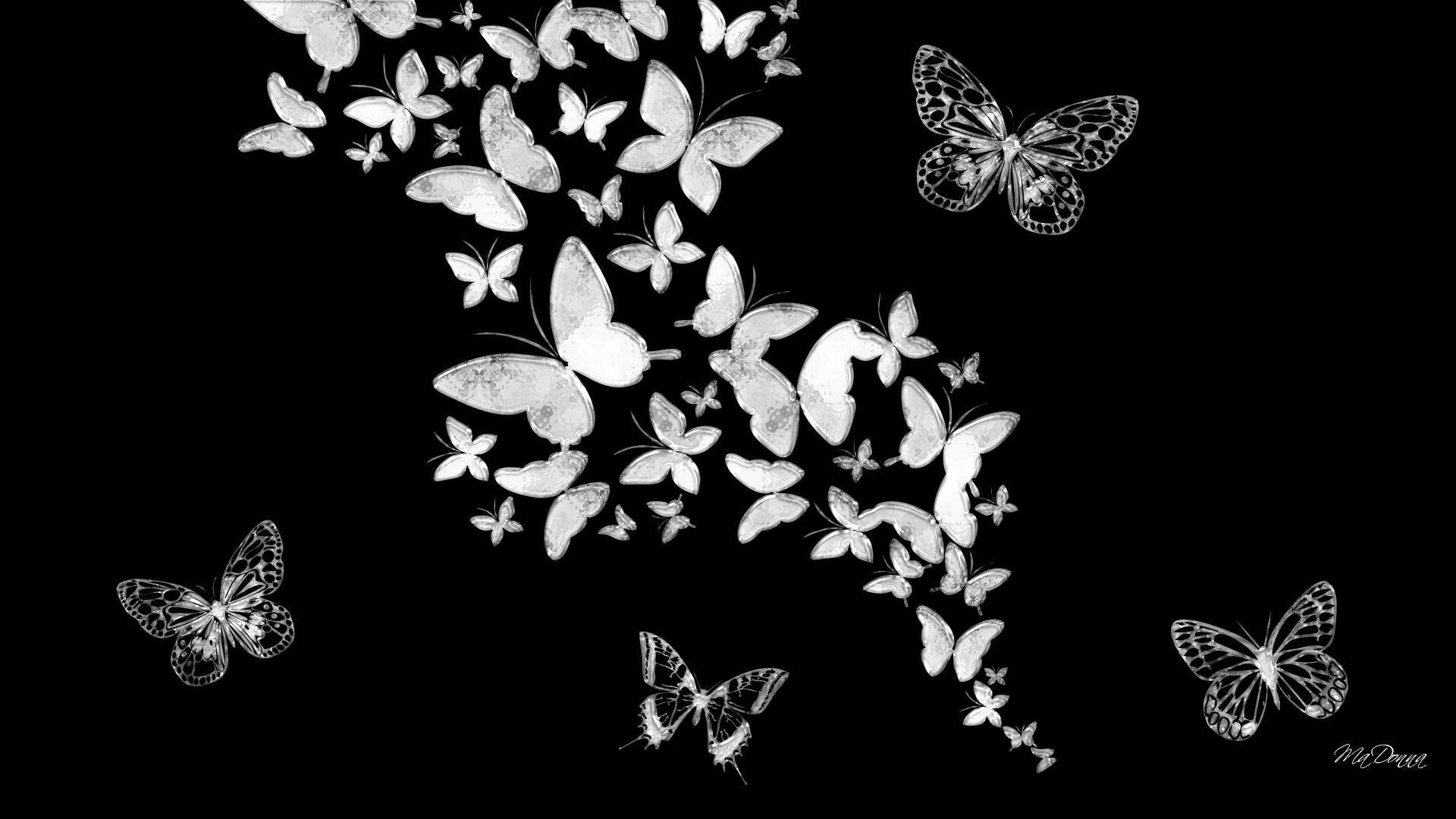 Black Butterfly Background Wallpaper (68+ images)