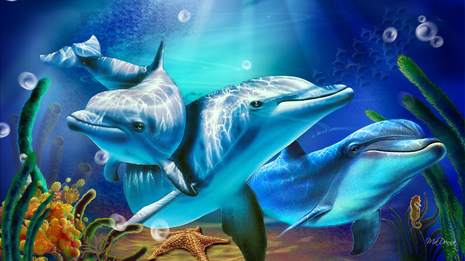 Animated Dolphin Screensavers Wallpaper (46+ images)