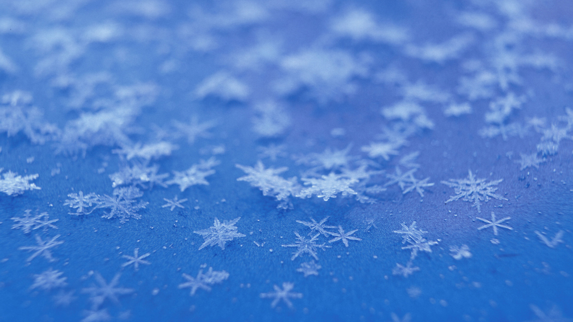 Animated Snow Falling Wallpaper (60+ images)