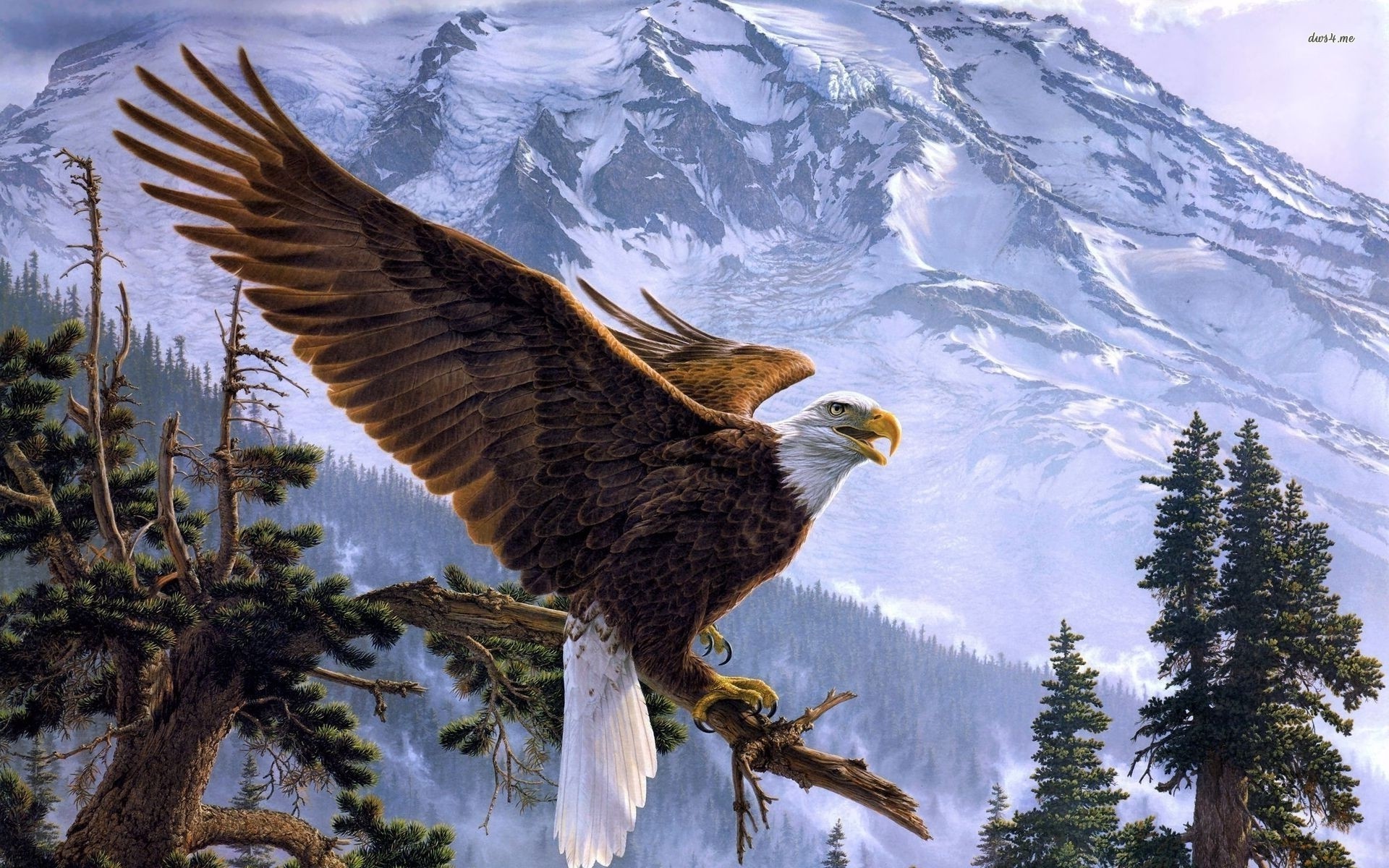 Eagle Desktop Wallpaper (73+ images)