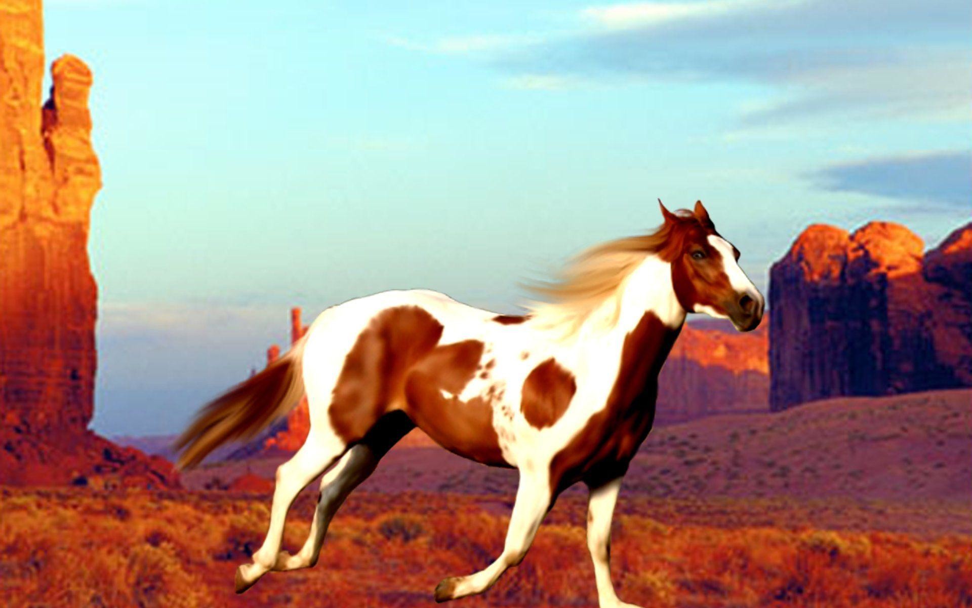 Paint Horse Wallpaper (40+ images)
