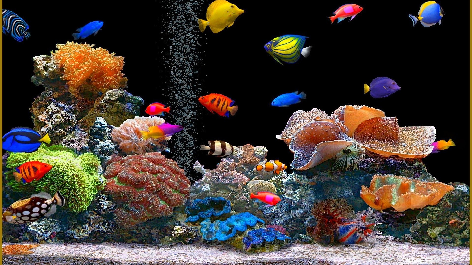 Moving Aquarium Wallpaper (49+ images)