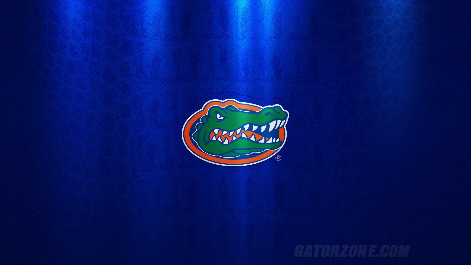 28+ Iphone Florida Gators Football Wallpaper Gif