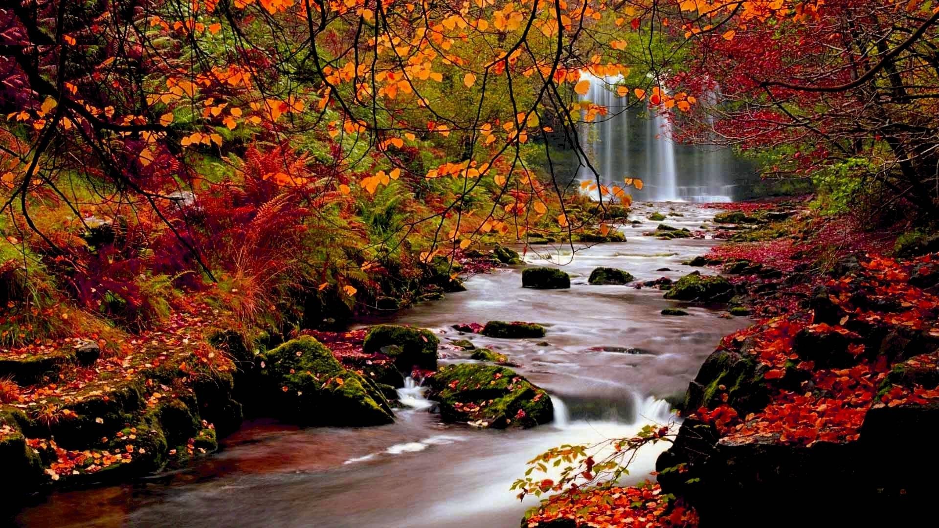 Beautiful Fall Scenery Wallpaper 49 Images