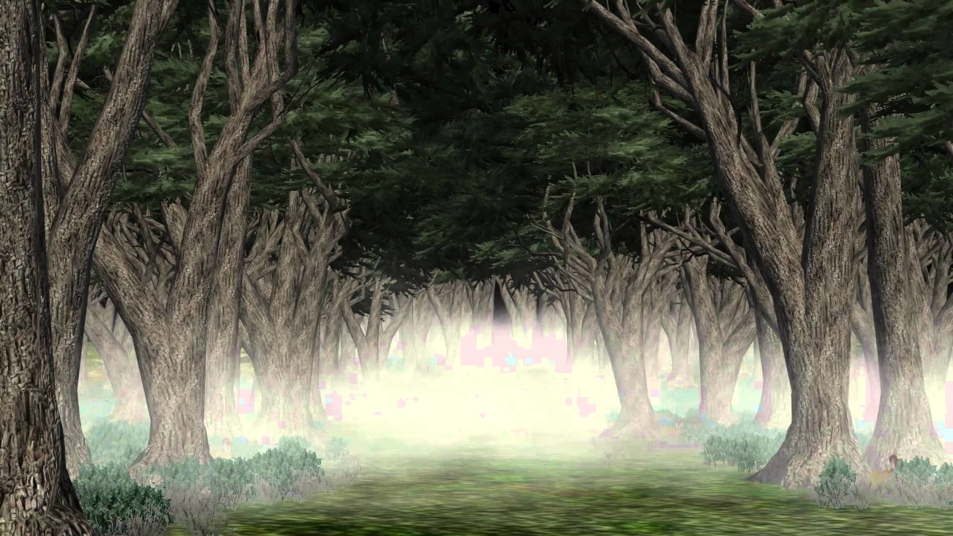 Spooky Forest Wallpaper (68+ images)