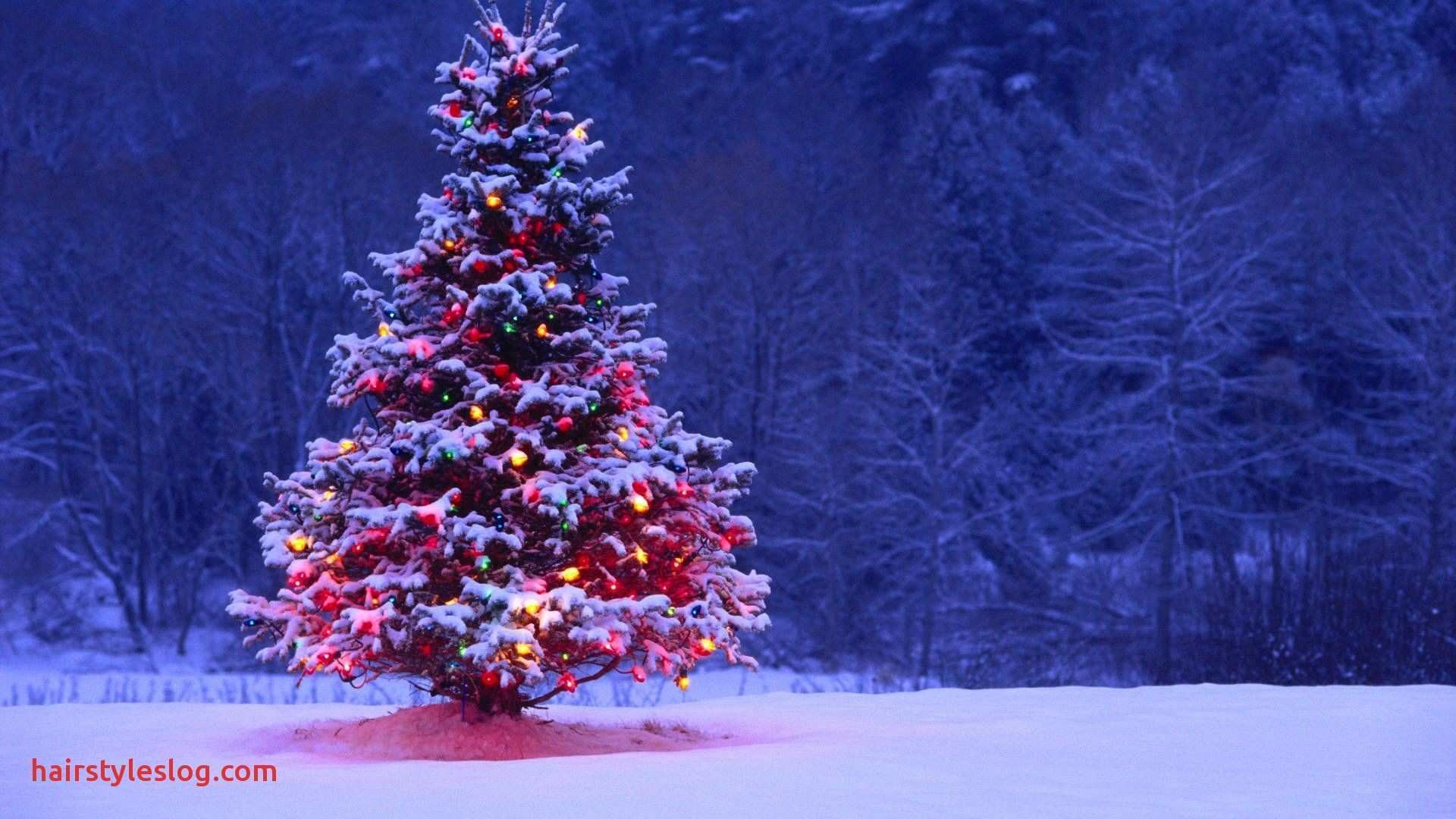 Christmas Countdown Wallpaper (52+ images)