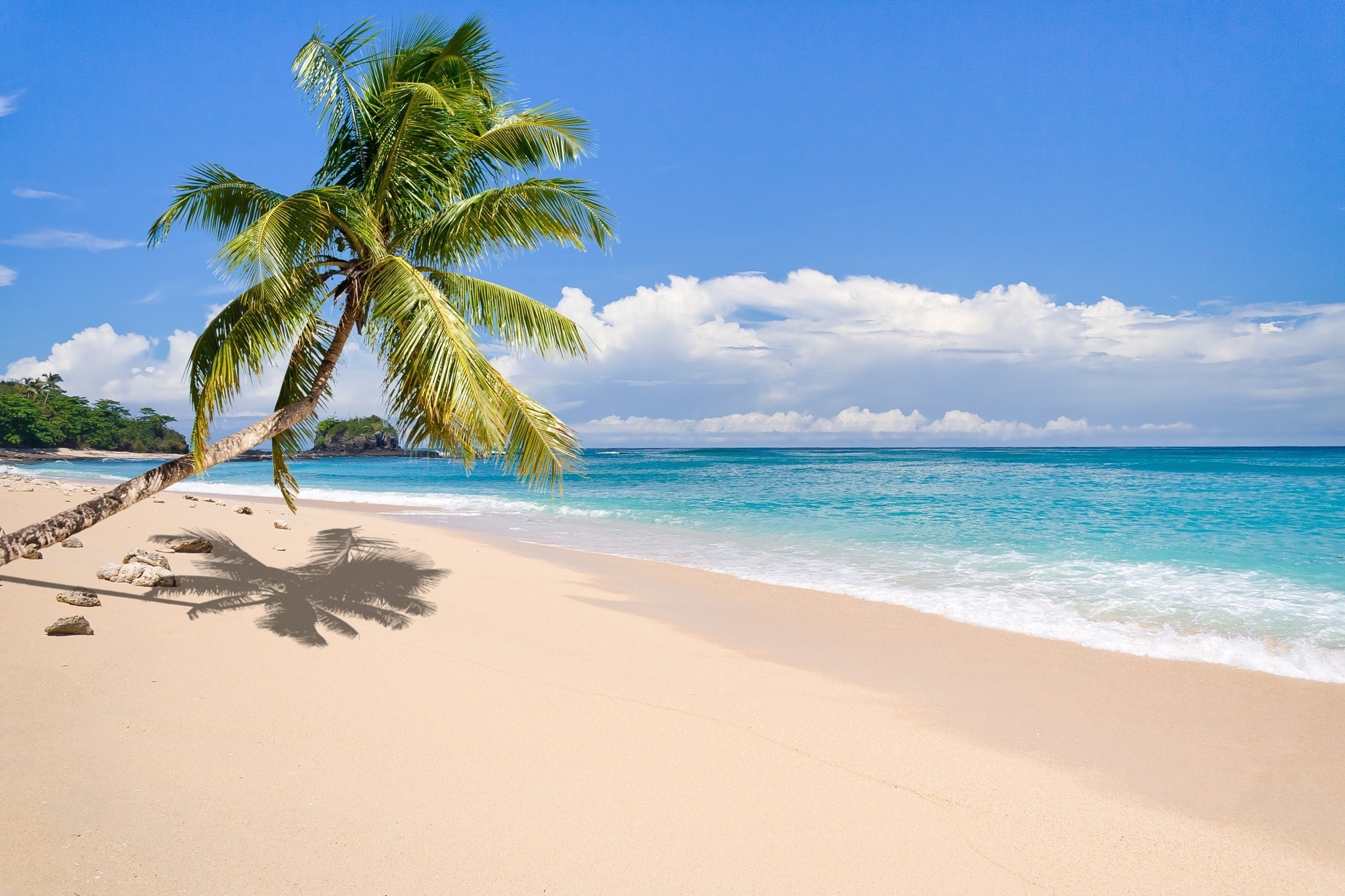 Tropical Island Background (57+ images)