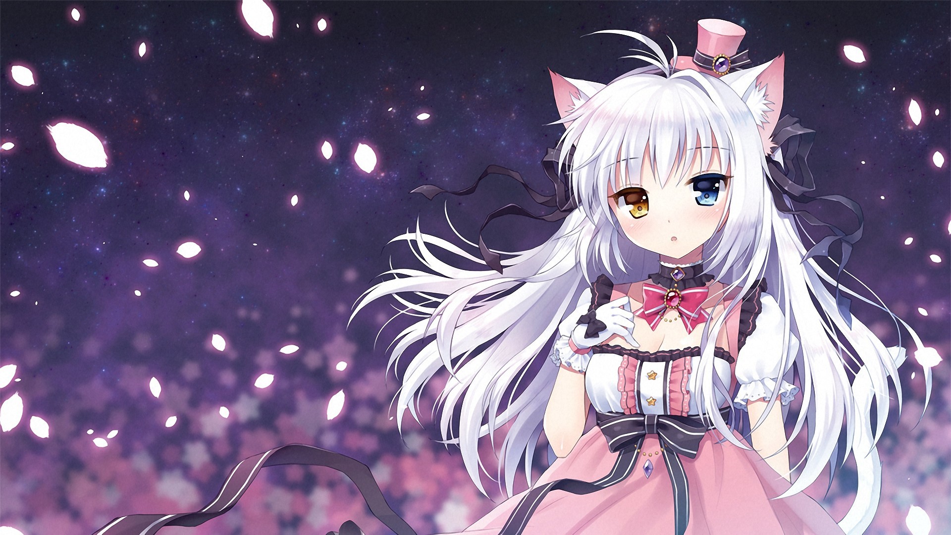 Anime Neko Wallpapers 61  images