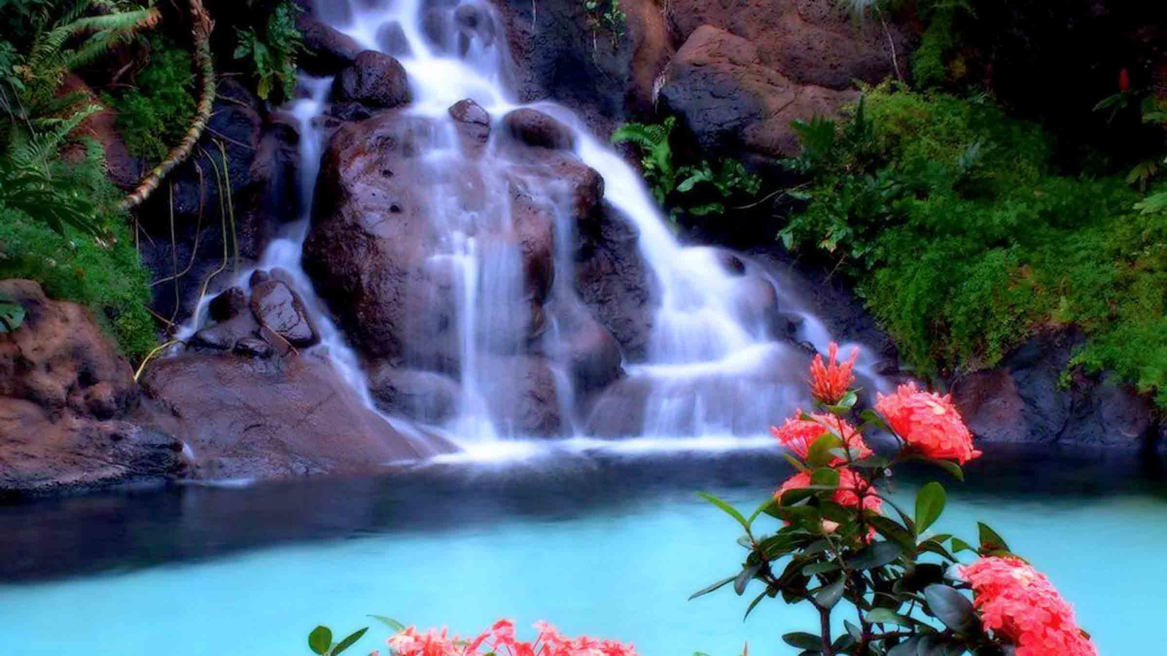 High Definition Tropical Wallpapers 63 Images