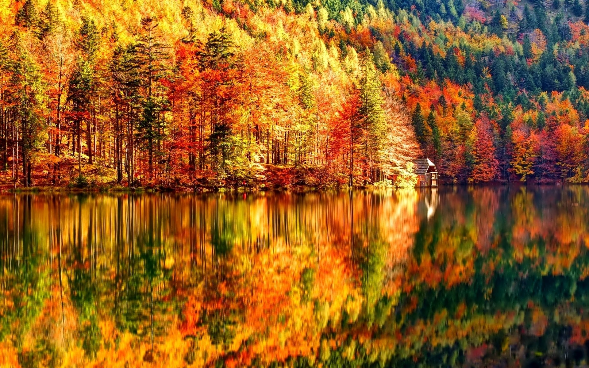 HD Fall Wallpapers (60+ images)