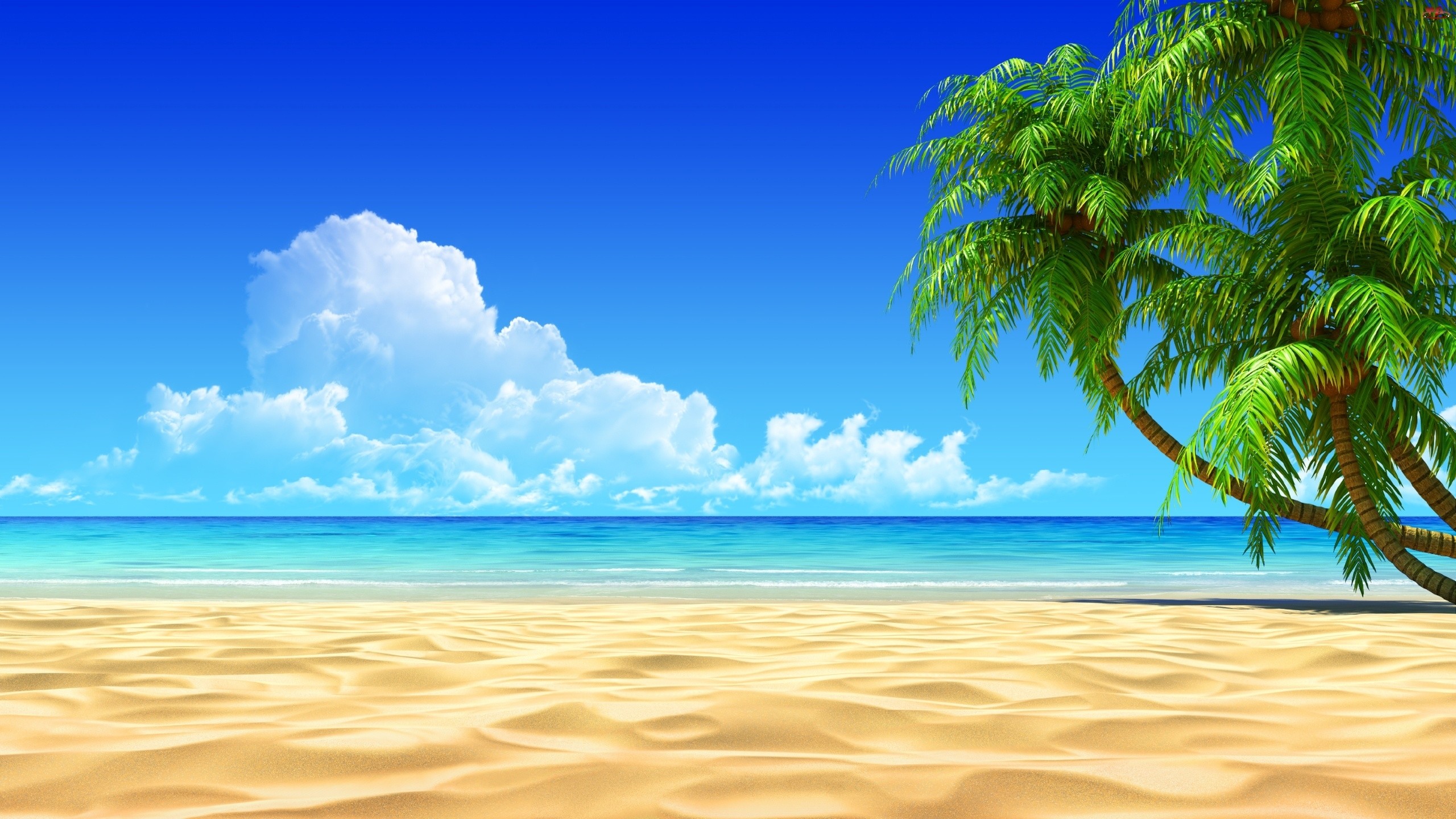 HD Beach Backgrounds (74+ images)