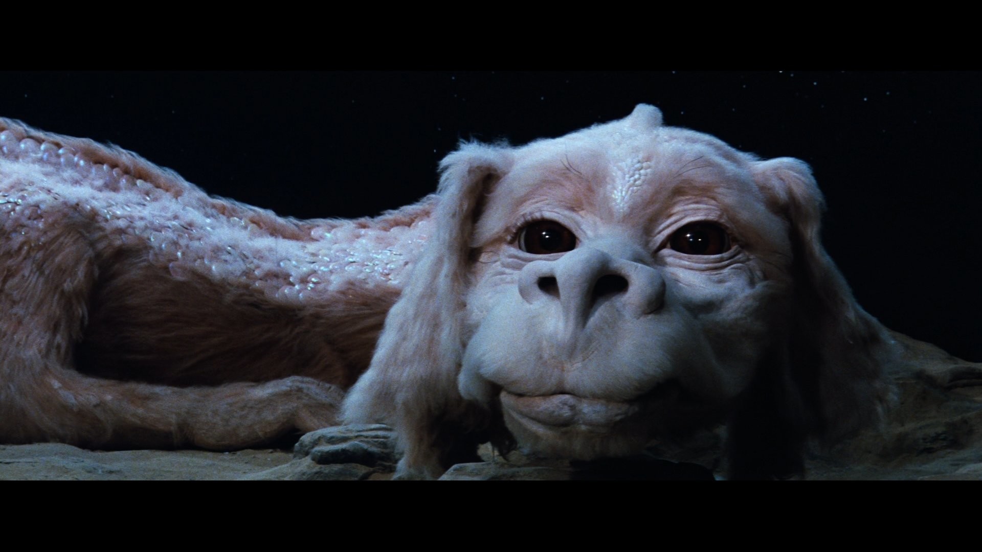 Neverending Story Wallpaper 77 Images