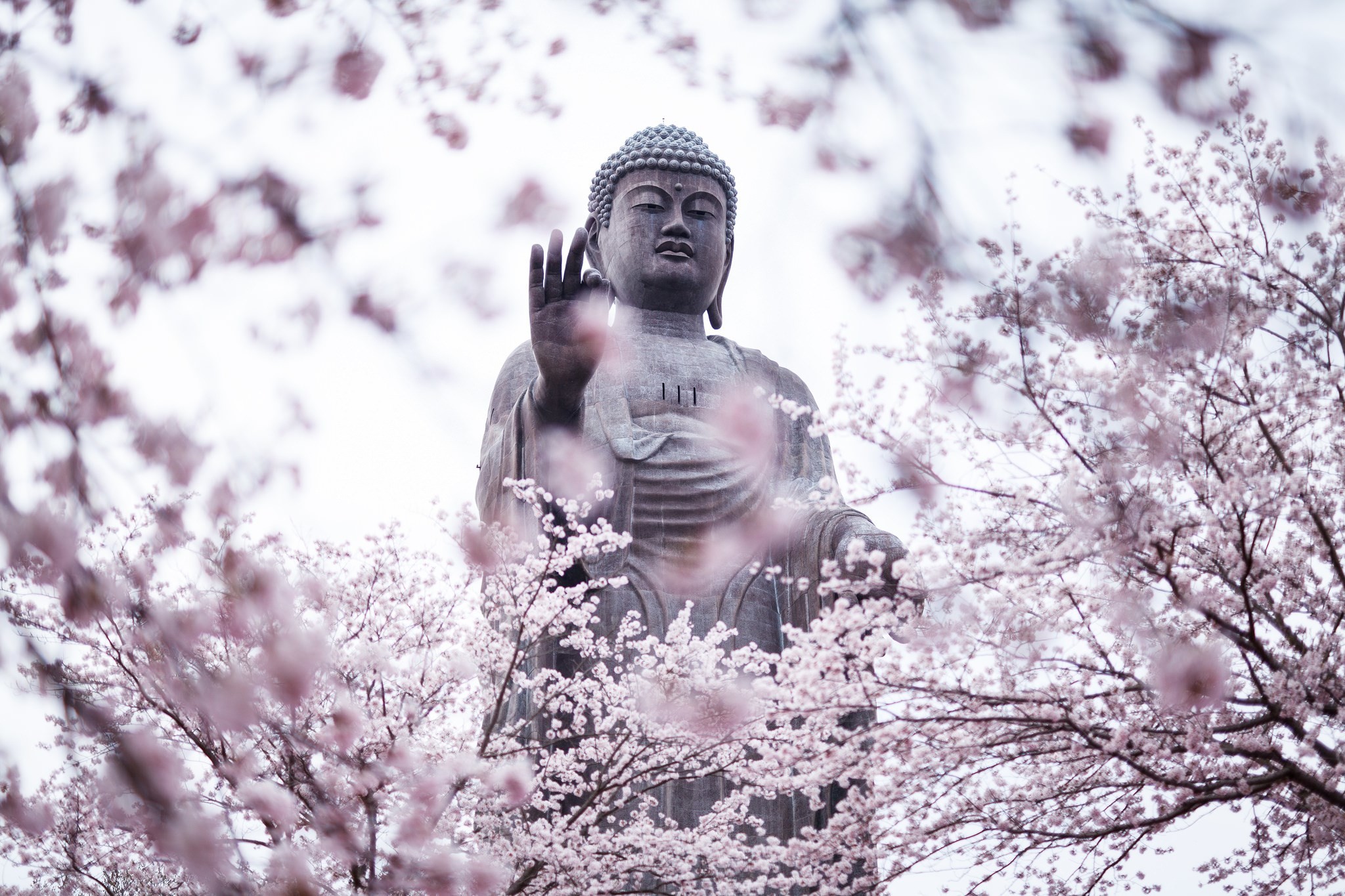 Buddhist Wallpaper and Screensavers 63 images 