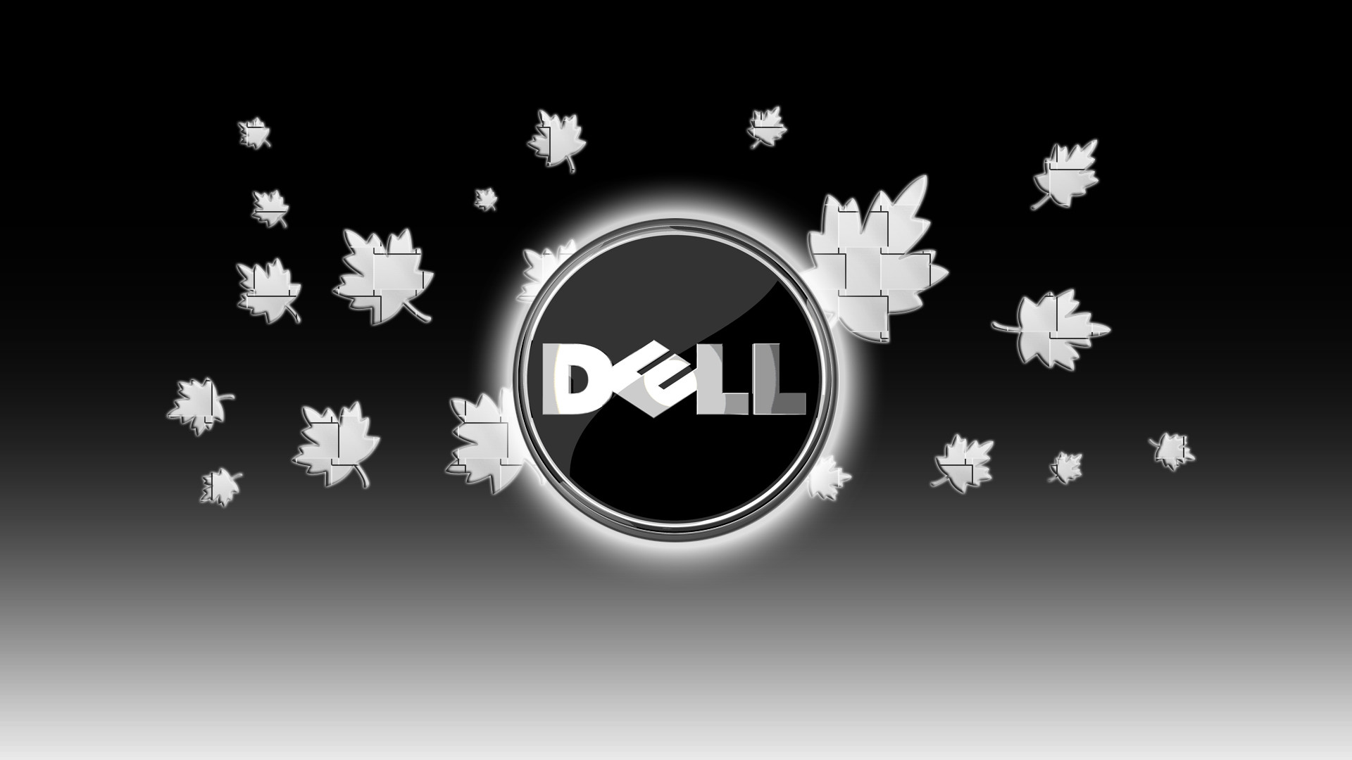 Dell Hd Wallpaper 19x1080 71 Images