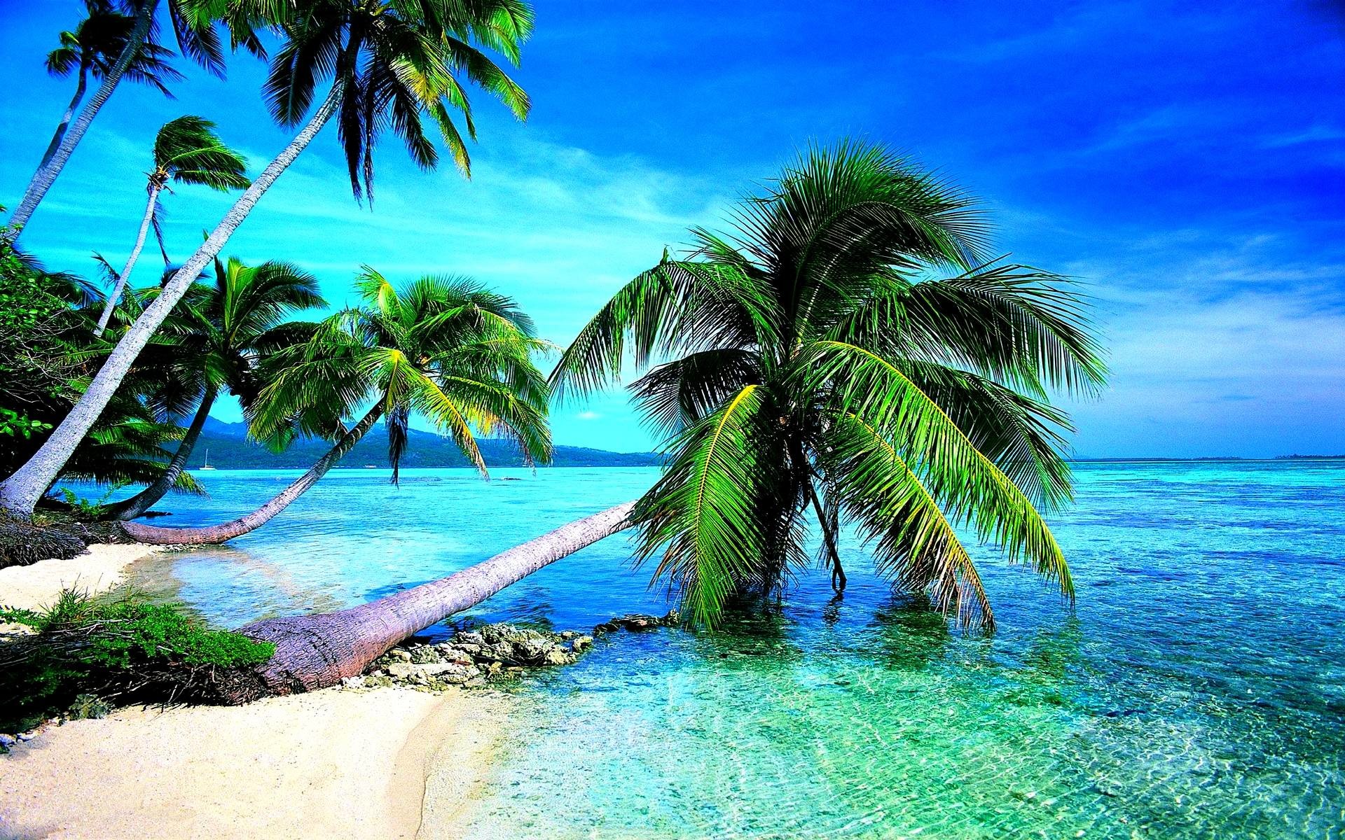Tropical Beach HD Wallpaper (68+ images)