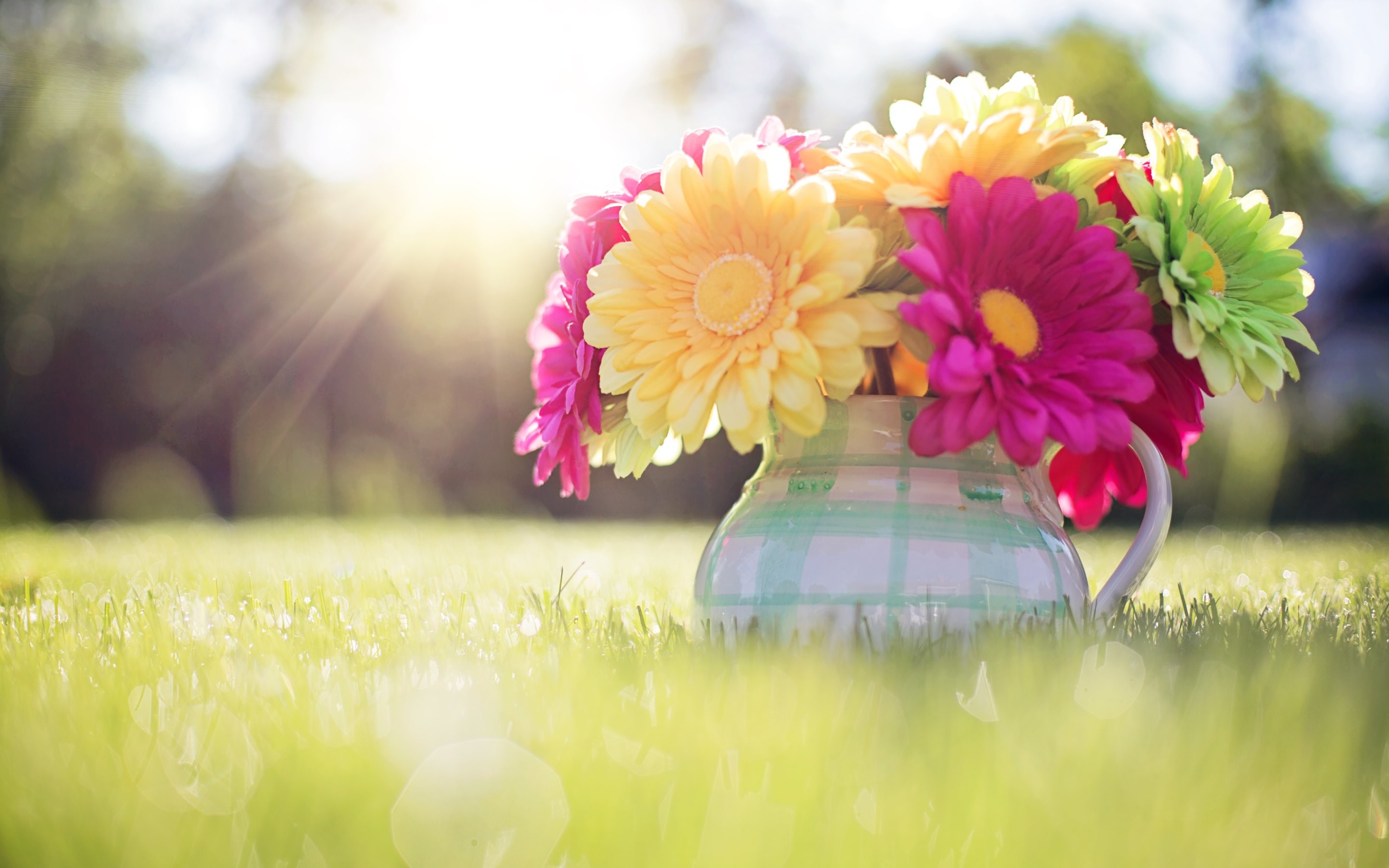 Spring Desktop Wallpaper Widescreen (56+ images)