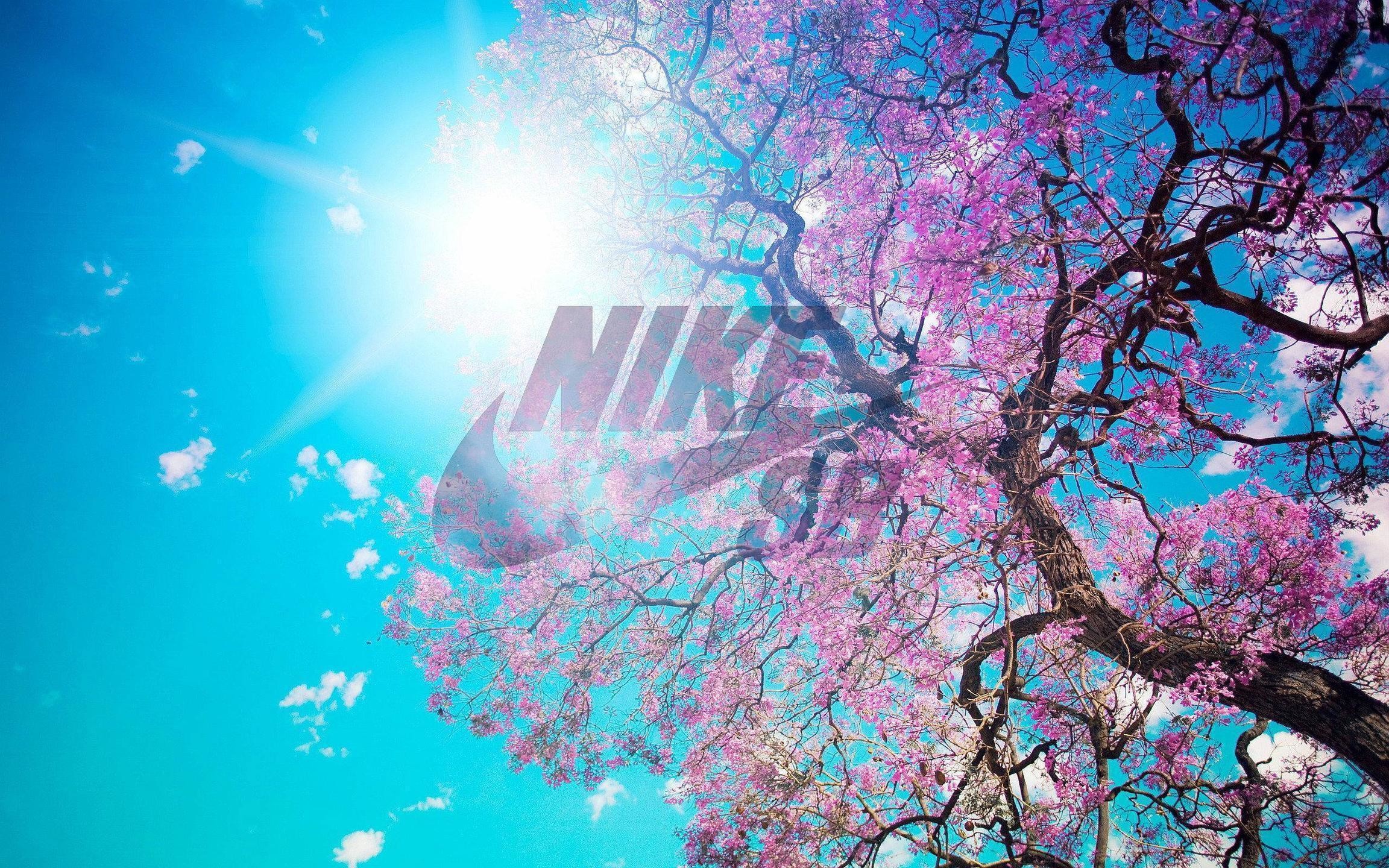 Nike Sb Wallpaper For Iphone 77 Images