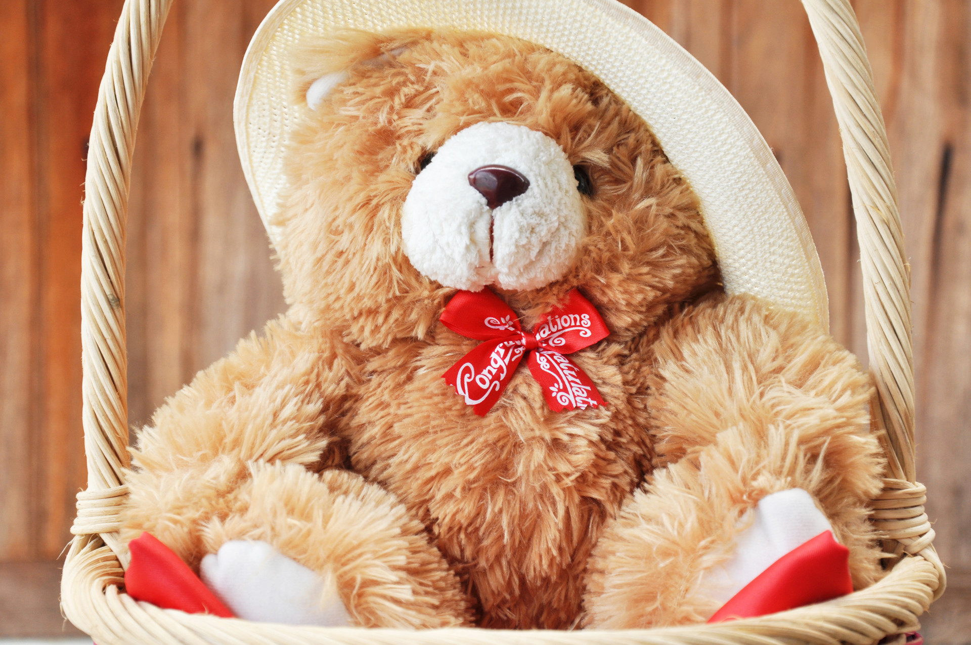 Teddy Bear Hd Wallpapers 1080P Download : Download teddy bears