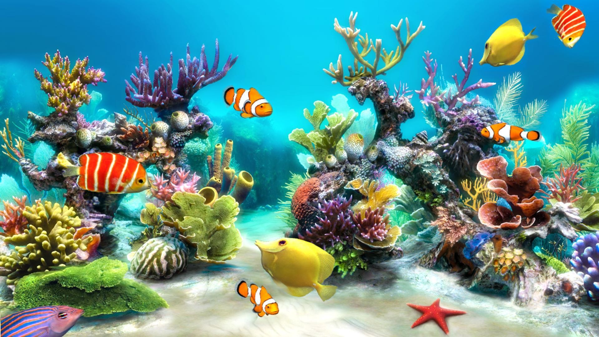 Aquarium Live Wallpaper Windows 10 (55+ images)