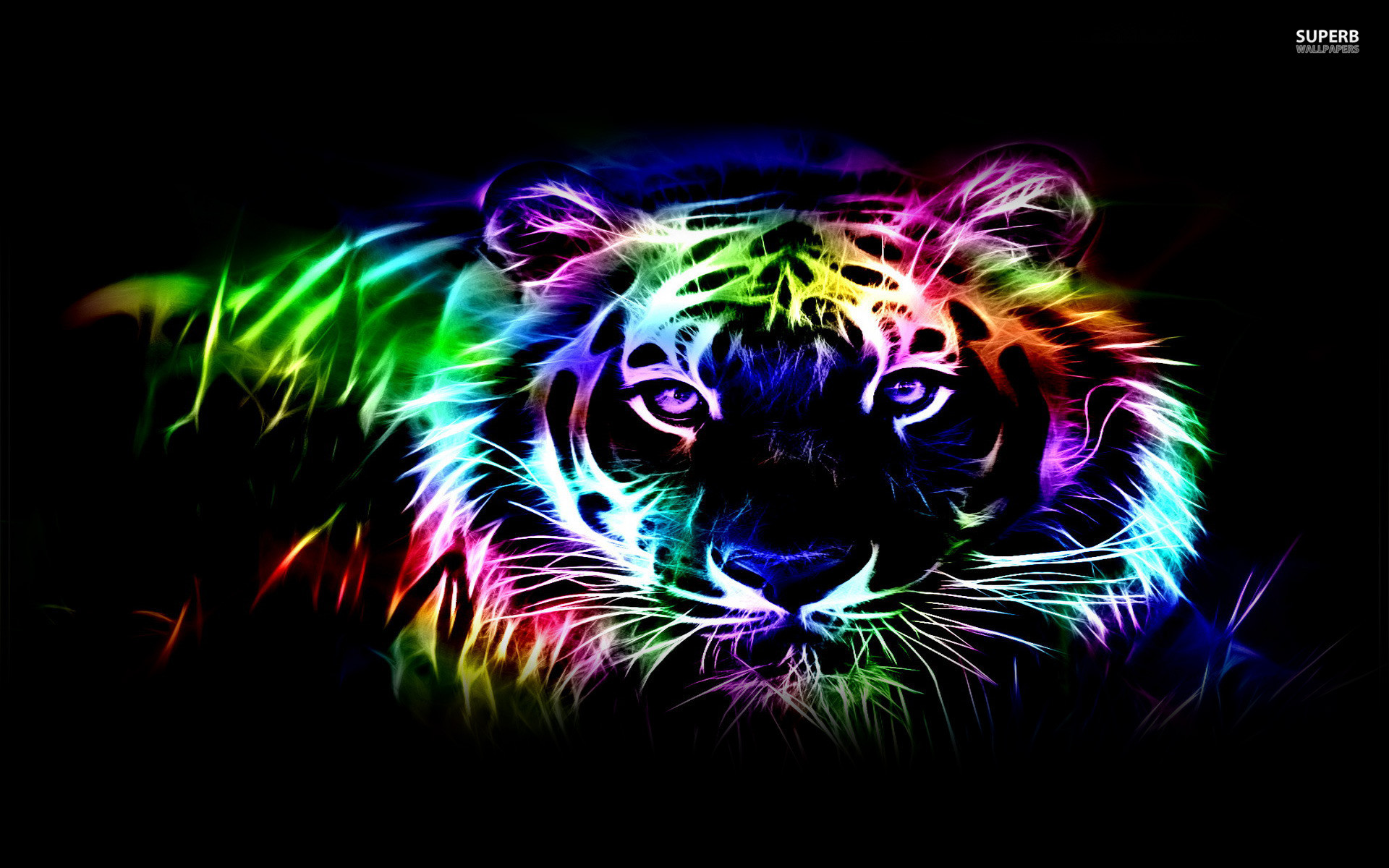 Neon Animal Wallpapers (58+ Images)