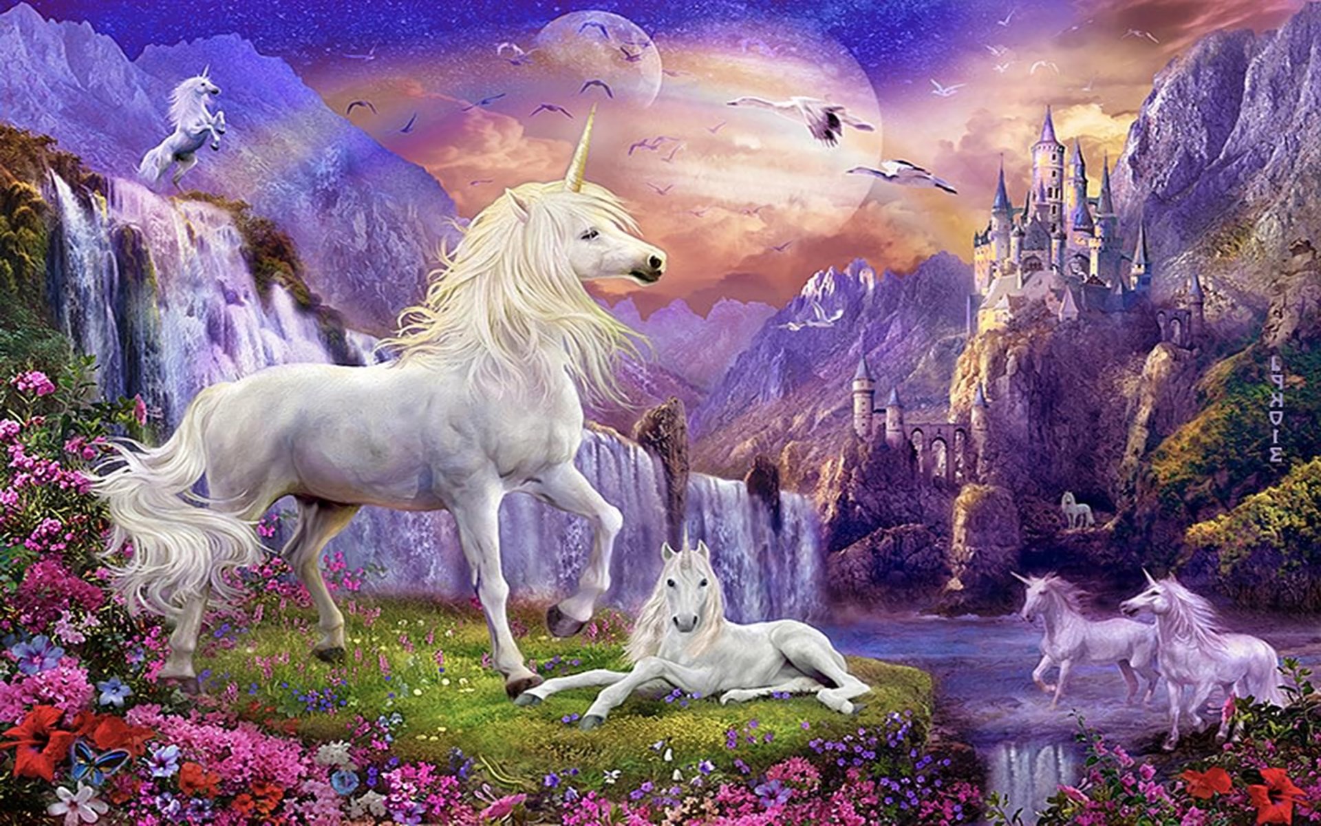 Unicorn Backgrounds for Desktop (69+ images)