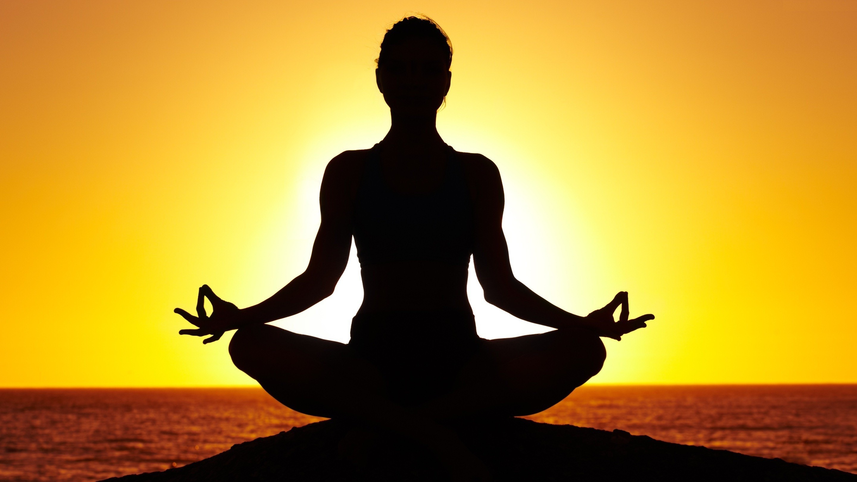 Yoga Exploring Its Physical And Meditative Components Organicfit A
